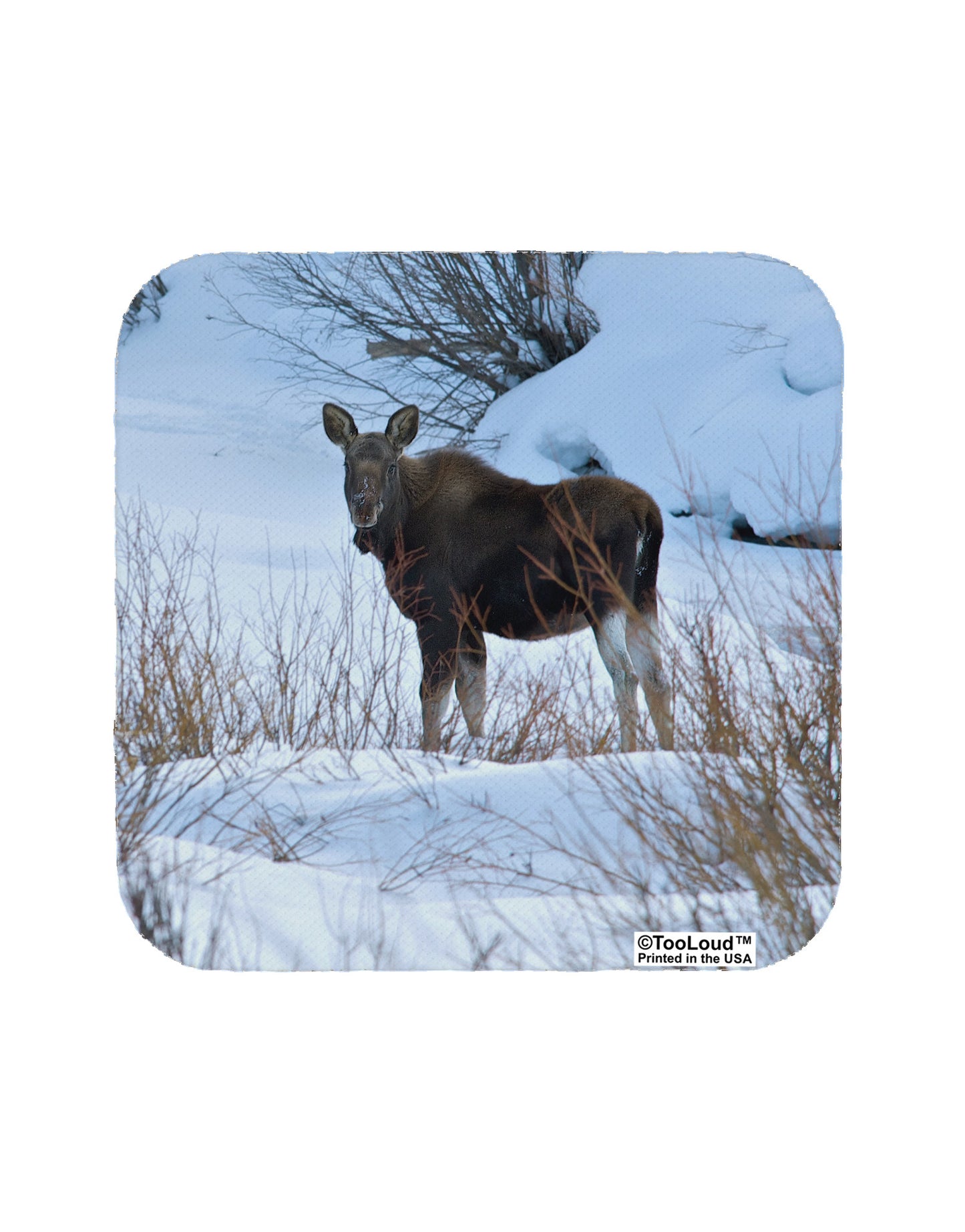 TooLoud Winter Scene All-Over-Print Coaster All Over Print-Coasters-TooLoud-White-Davson Sales
