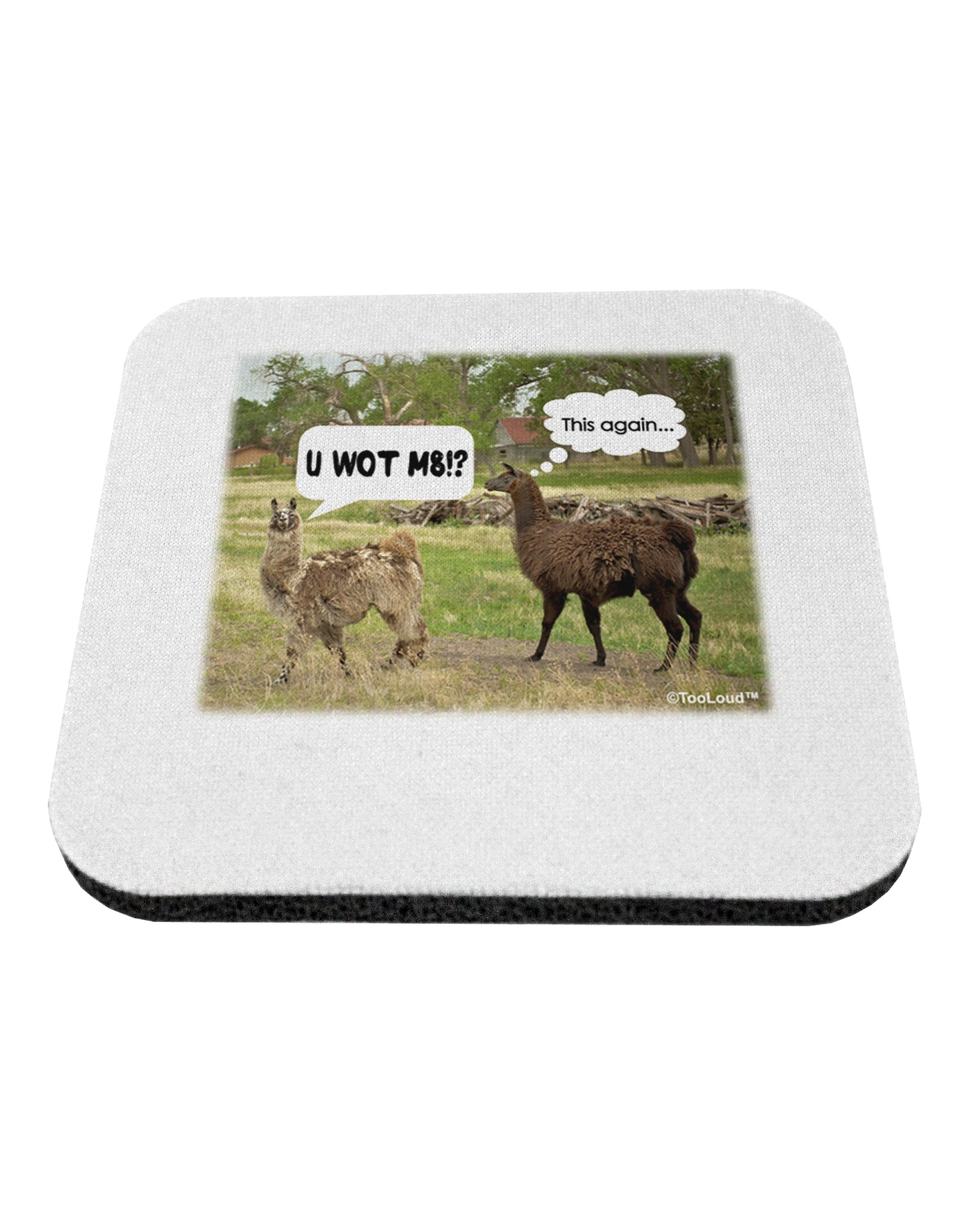 Angry Standing Llamas Coaster by TooLoud-Coasters-TooLoud-1-Davson Sales