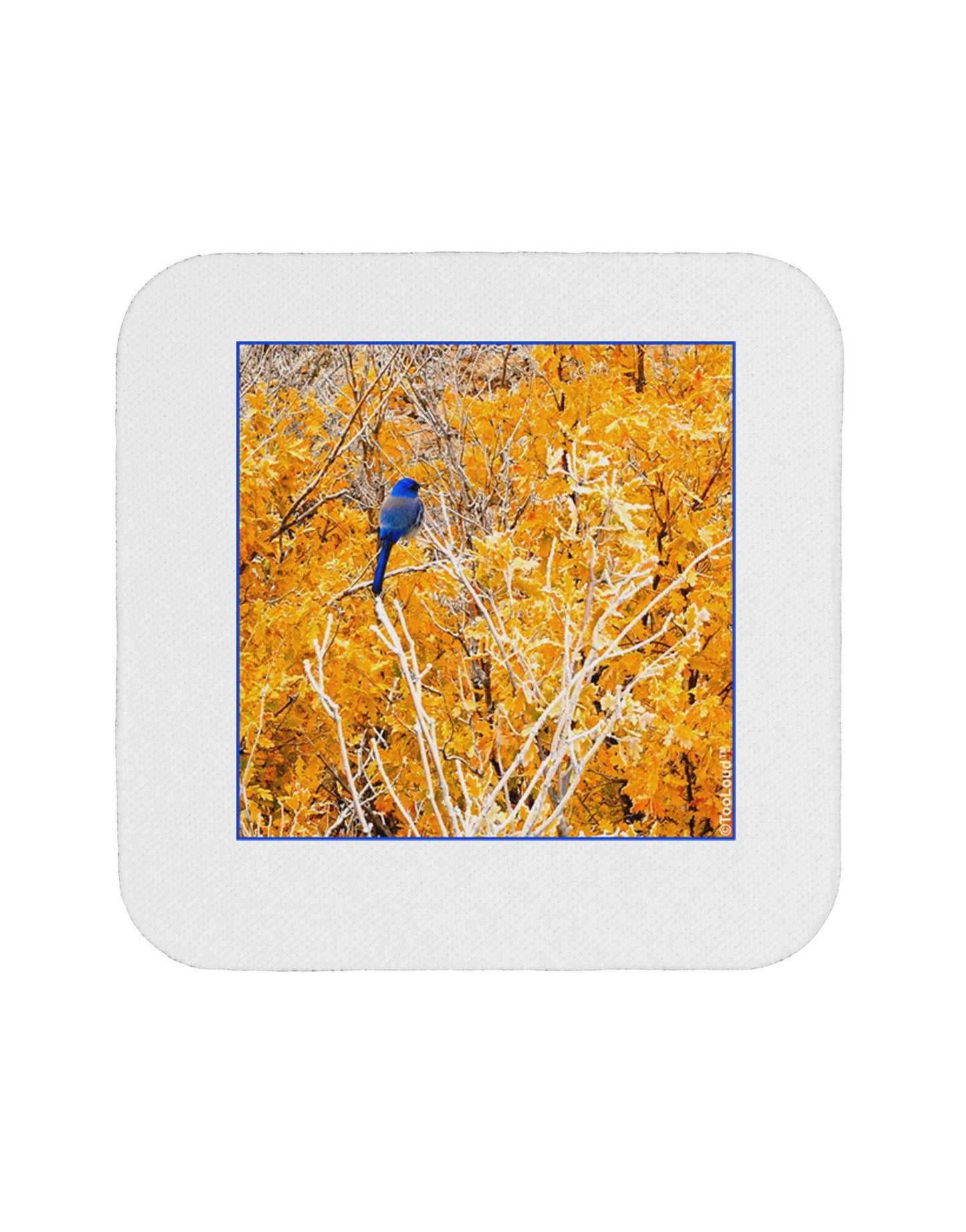 Blue Bird in Yellow Coaster-Coasters-TooLoud-12-Davson Sales