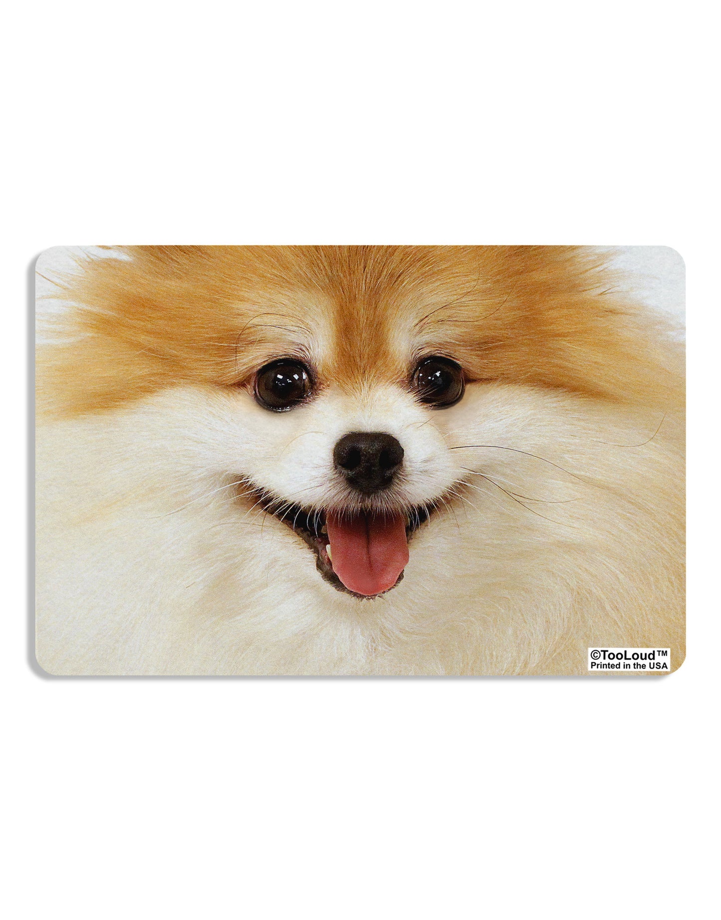 Adorable Pomeranian 1 Placemat All Over Print Set of 4 Placemats-Placemat-TooLoud-White-Davson Sales