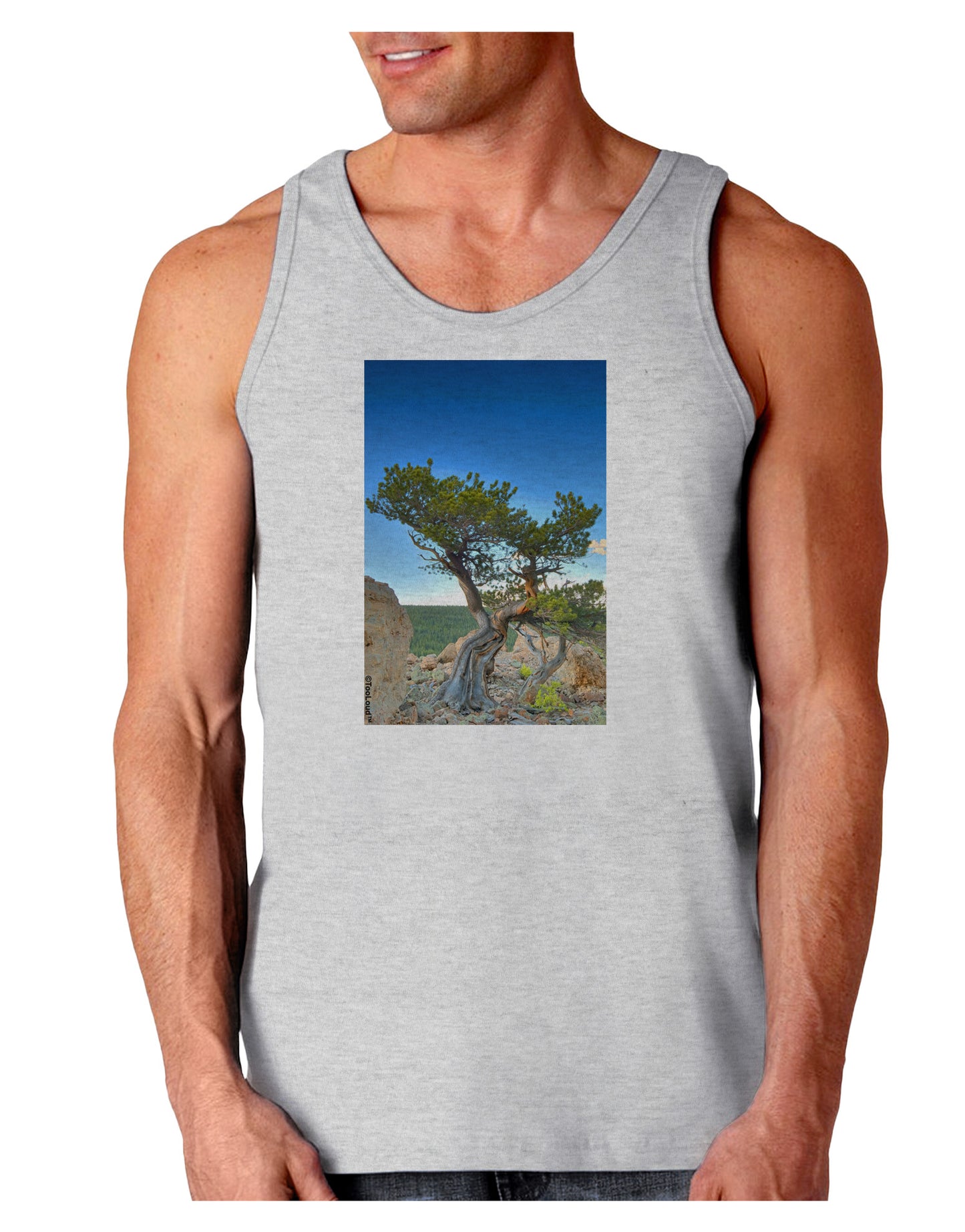 Colorado Landscape Tree Loose Tank Top-Loose Tank Top-TooLoud-AshGray-Small-Davson Sales