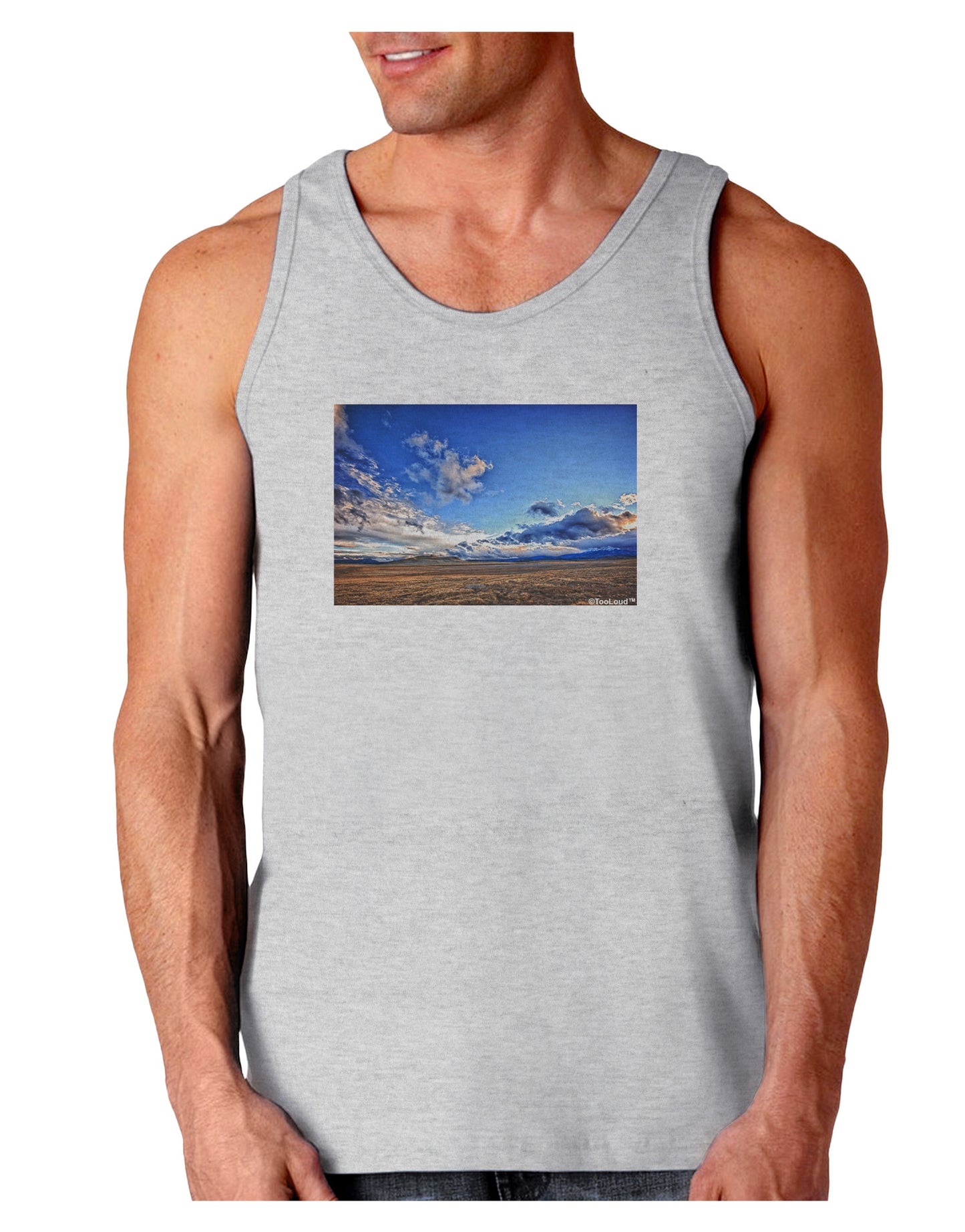 Garden of the Gods Colorado Loose Tank Top-Loose Tank Top-TooLoud-AshGray-Small-Davson Sales