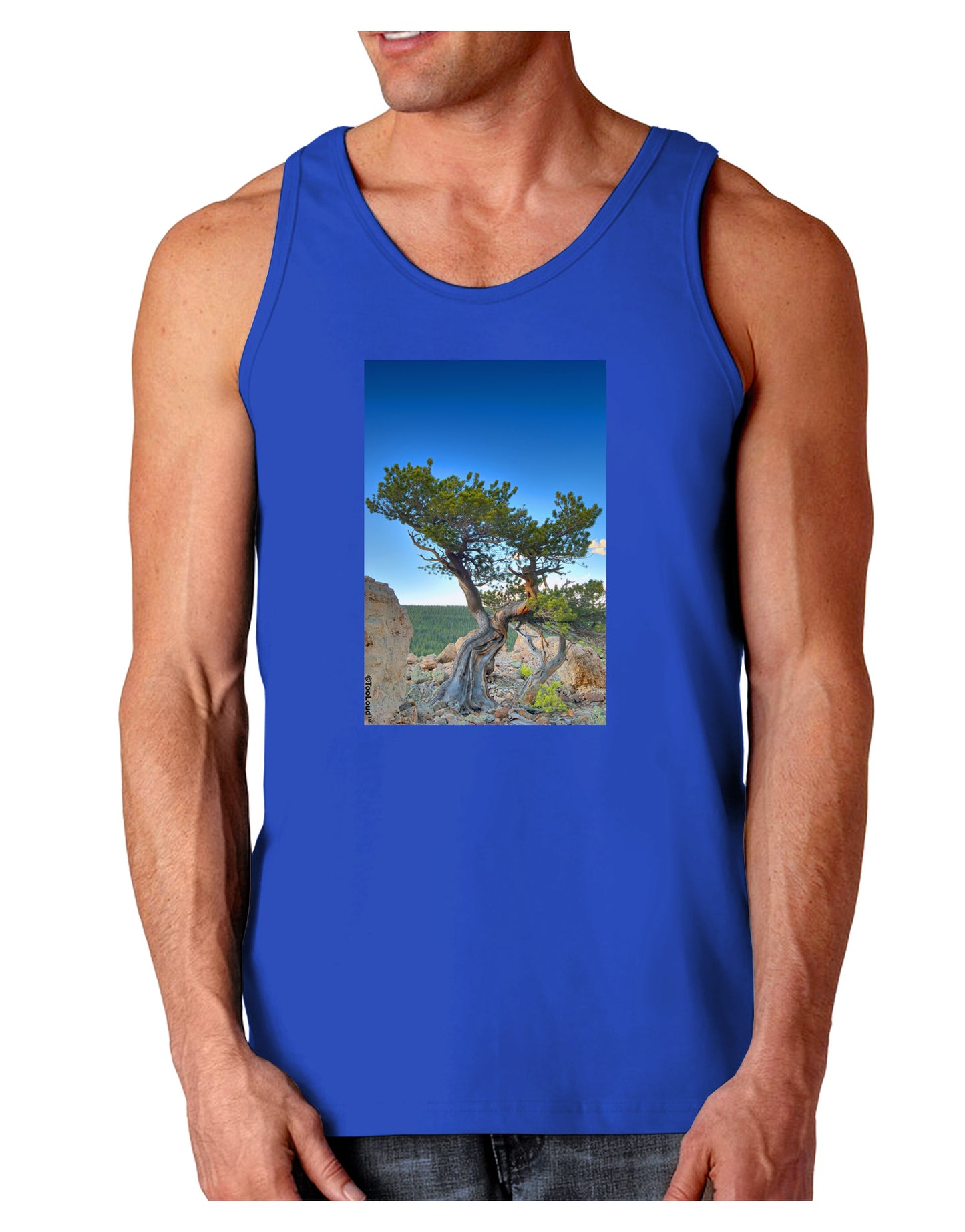 Colorado Landscape Tree Dark Loose Tank Top-Mens Loose Tank Top-TooLoud-Royal Blue-Small-Davson Sales