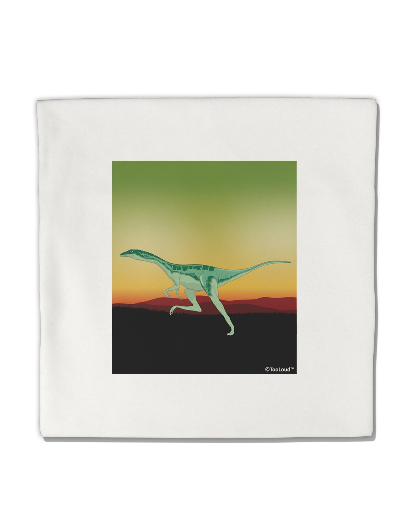 Ornithomimus Velox - Without Name Micro Fleece 14"x14" Pillow Sham by TooLoud-Pillow Sham-TooLoud-White-Davson Sales