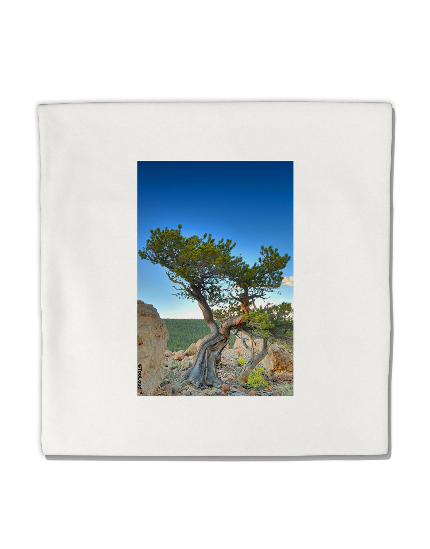 Colorado Landscape Tree Micro Fleece 14"x14" Pillow Sham-Pillow Sham-TooLoud-White-Davson Sales