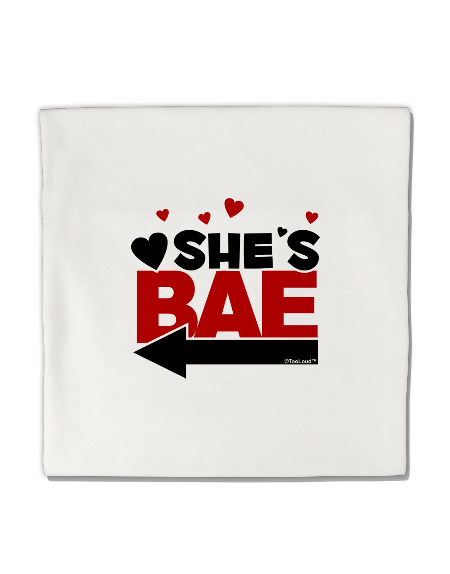 She's BAE - Left Arrow Micro Fleece 14"x14" Pillow Sham-Pillow Sham-TooLoud-White-Davson Sales