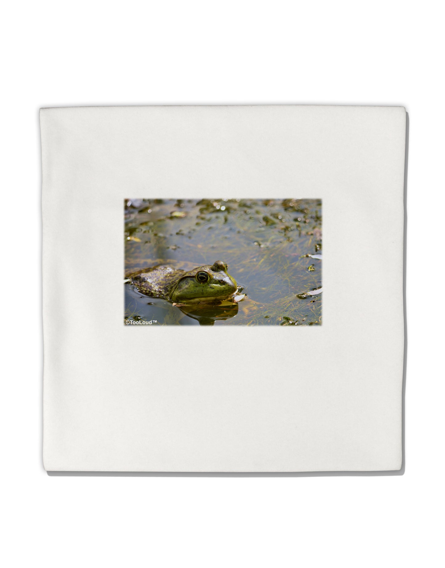 Bullfrog In Water Micro Fleece 14"x14" Pillow Sham by TooLoud-Pillow Sham-TooLoud-White-Davson Sales