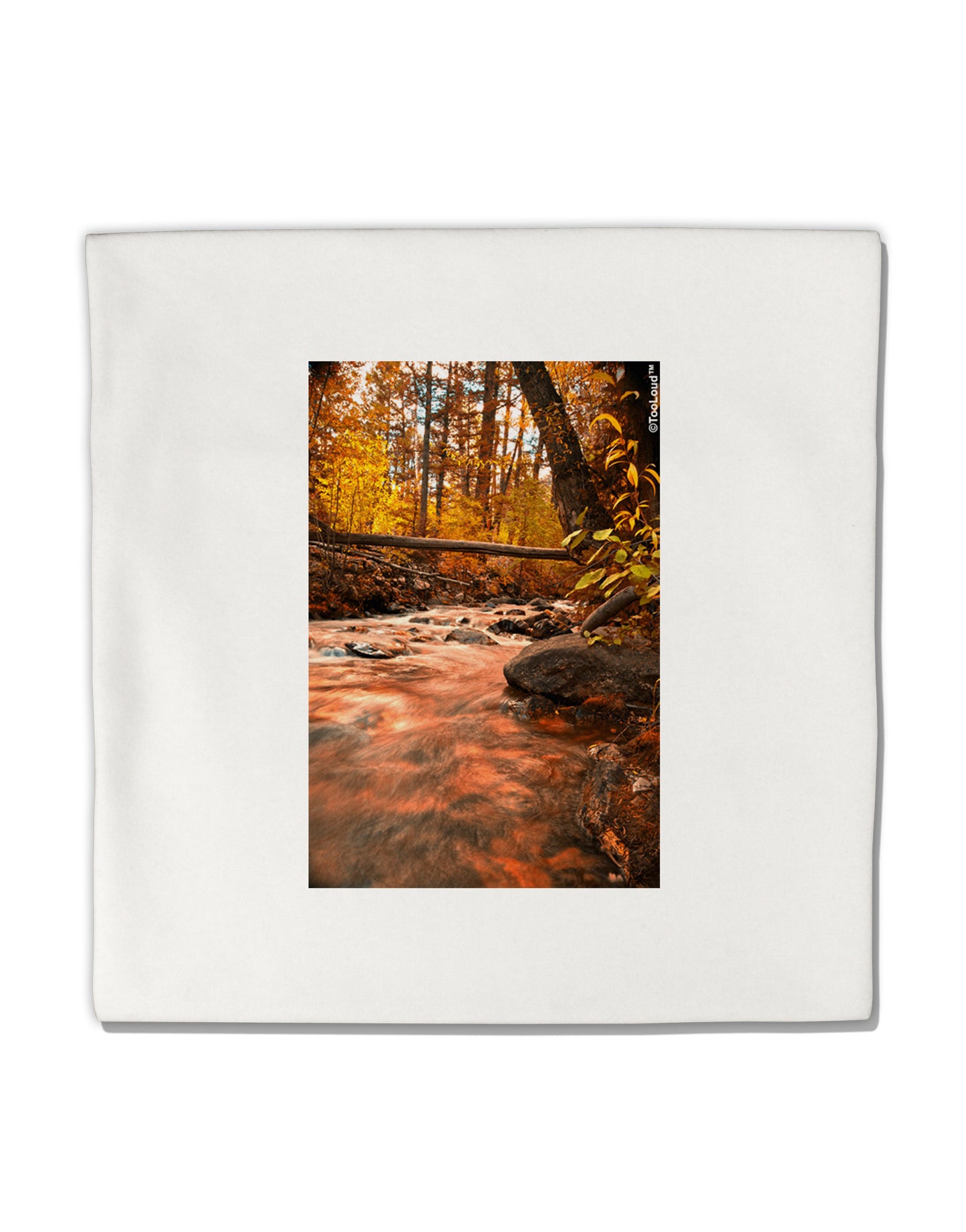 Mt Shavano Colorado Micro Fleece 14"x14" Pillow Sham-Pillow Sham-TooLoud-White-Davson Sales