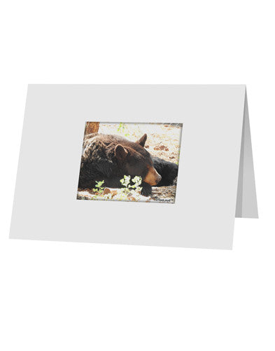 Laying Black Bear 10 Pack of 5x7" Top Fold Blank Greeting Cards-Greeting Cards-TooLoud-White-Davson Sales