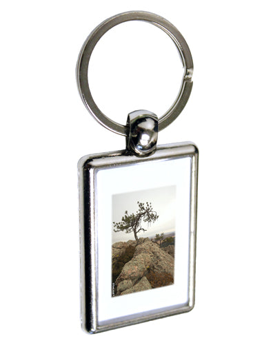 Stone Tree Colorado Keychain Key Ring by TooLoud-TooLoud-Davson Sales