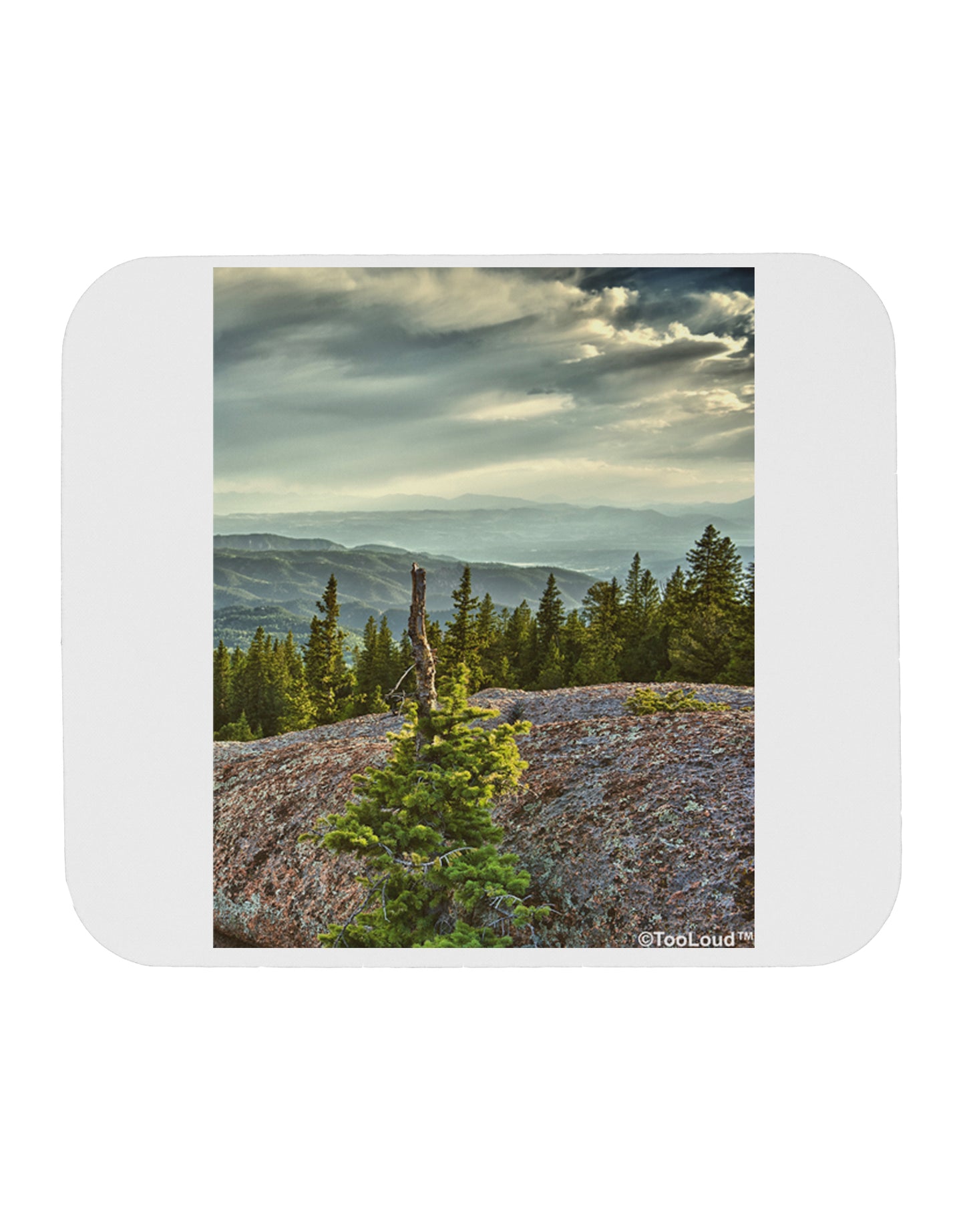 Nature Photography - Pine Kingdom Mousepad by TooLoud-TooLoud-White-Davson Sales
