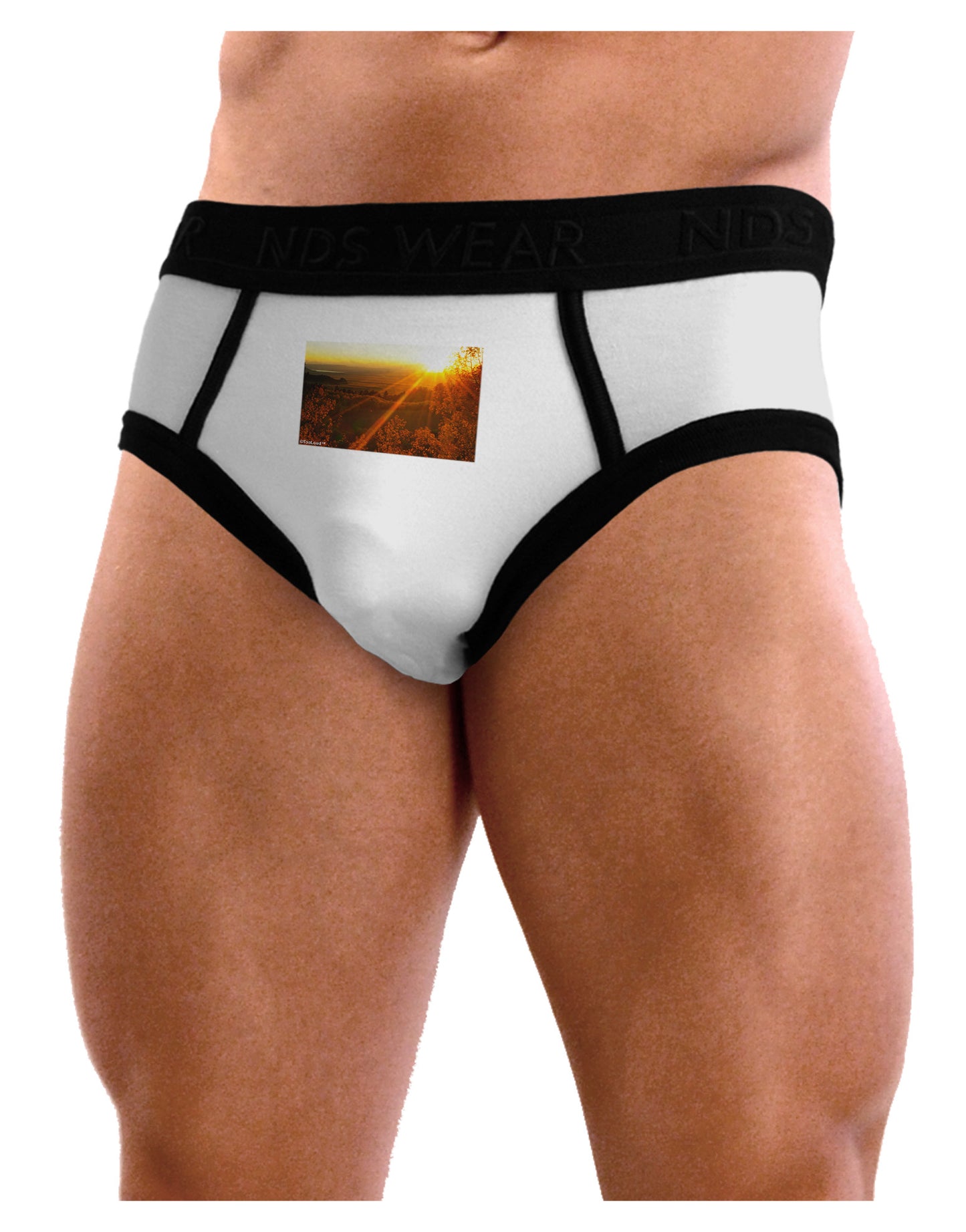 Colorado Sunset Mens NDS Wear Briefs Underwear-Mens Briefs-NDS Wear-White-Small-Davson Sales