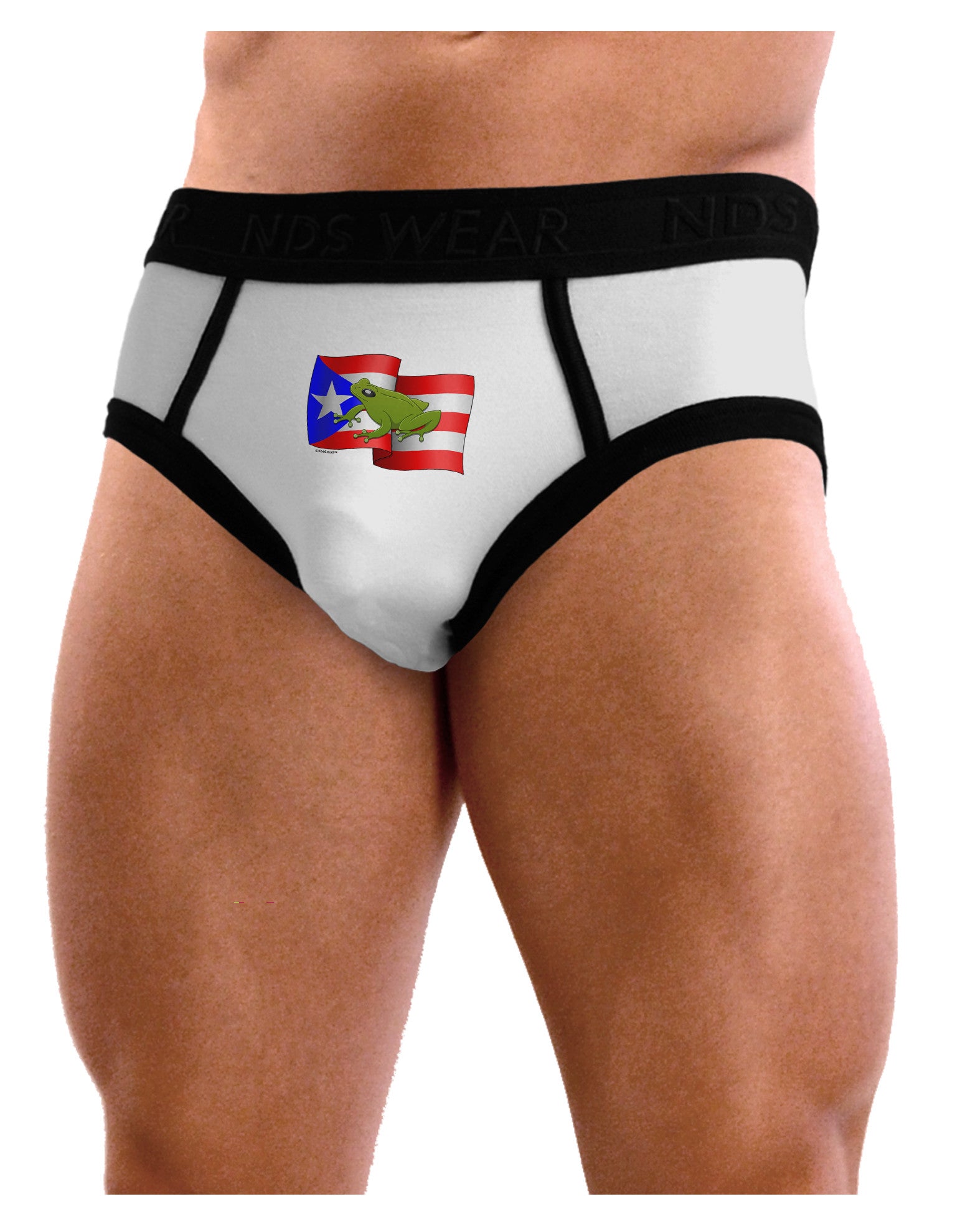 Puerto Rico Coqui Mens NDS Wear Briefs Underwear-Mens Briefs-NDS Wear-White-Small-Davson Sales