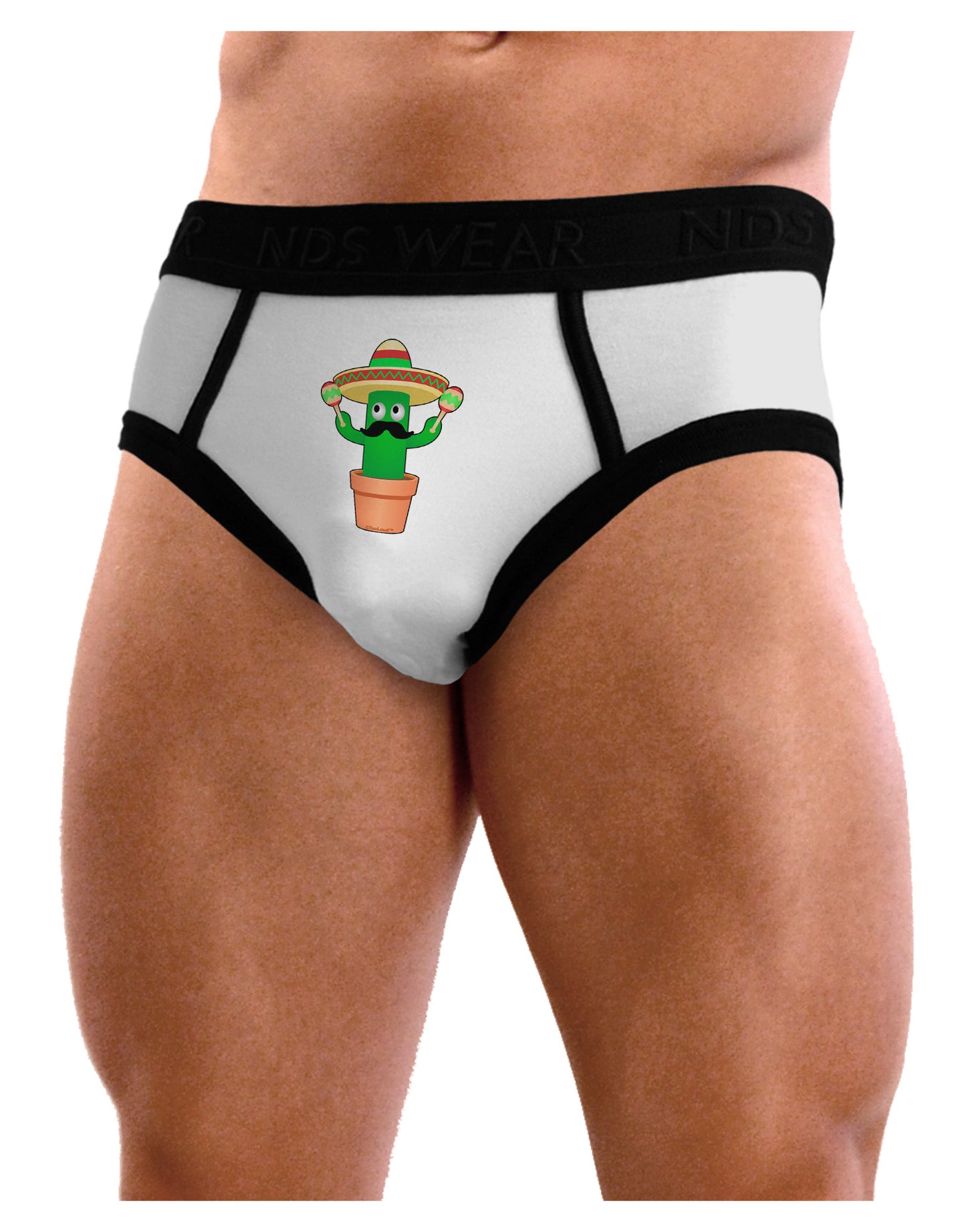Fiesta Cactus Mens NDS Wear Briefs Underwear-Mens Briefs-NDS Wear-White-Small-Davson Sales