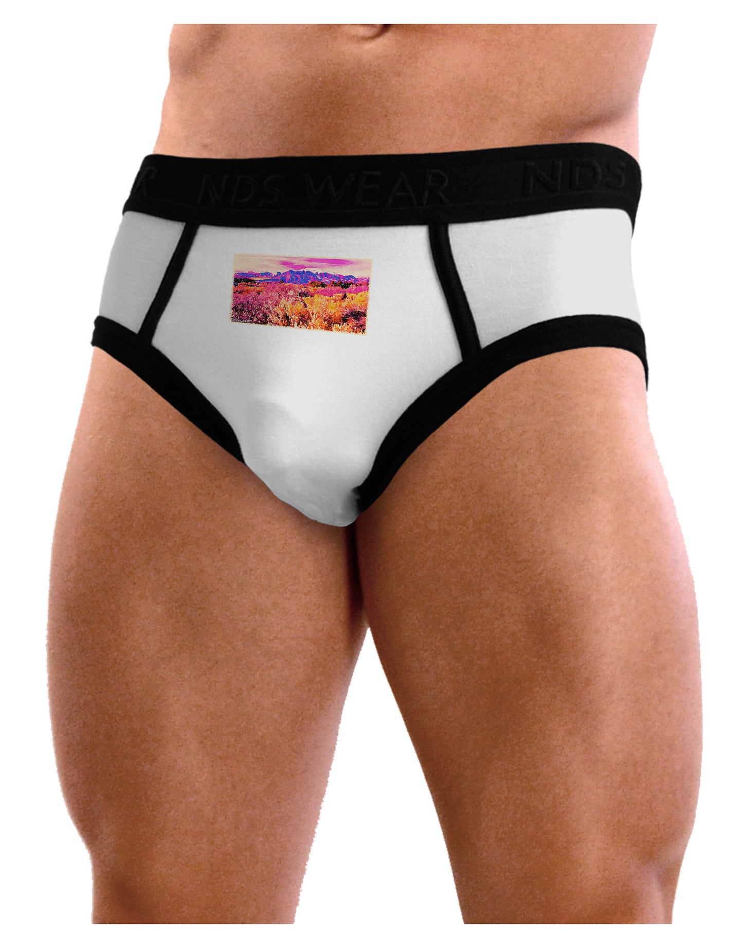 Colorful Colorado Mountains Mens NDS Wear Briefs Underwear-Mens Briefs-NDS Wear-White-Small-Davson Sales