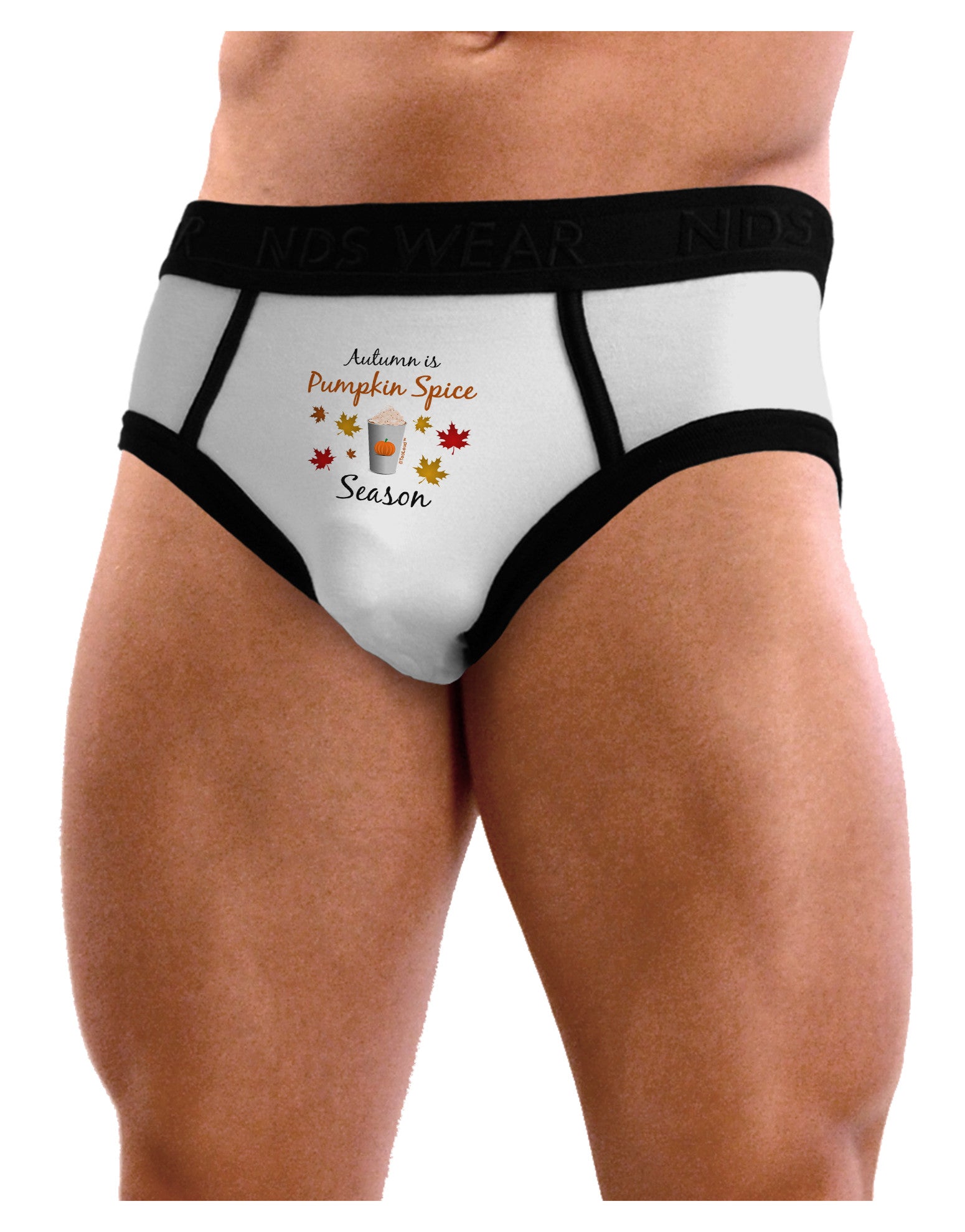 Pumpkin Spice Season Mens NDS Wear Briefs Underwear-Mens Briefs-NDS Wear-White-Small-Davson Sales