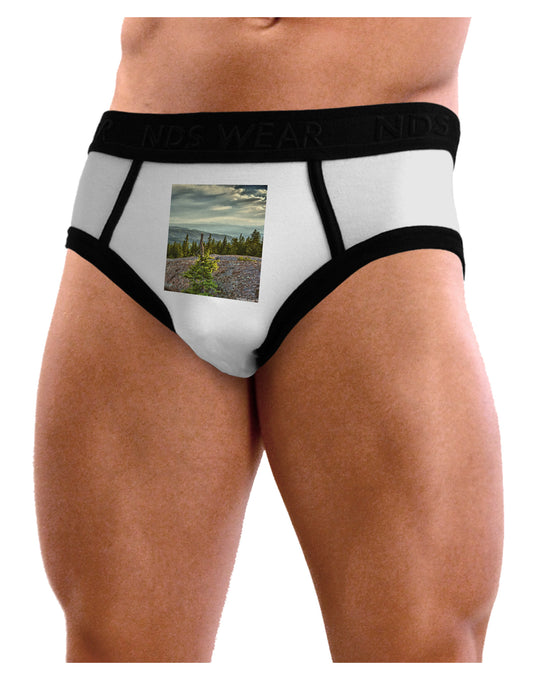 Nature Photography - Pine Kingdom Mens NDS Wear Briefs Underwear by NDS Wear-Mens Briefs-NDS Wear-White-Small-Davson Sales