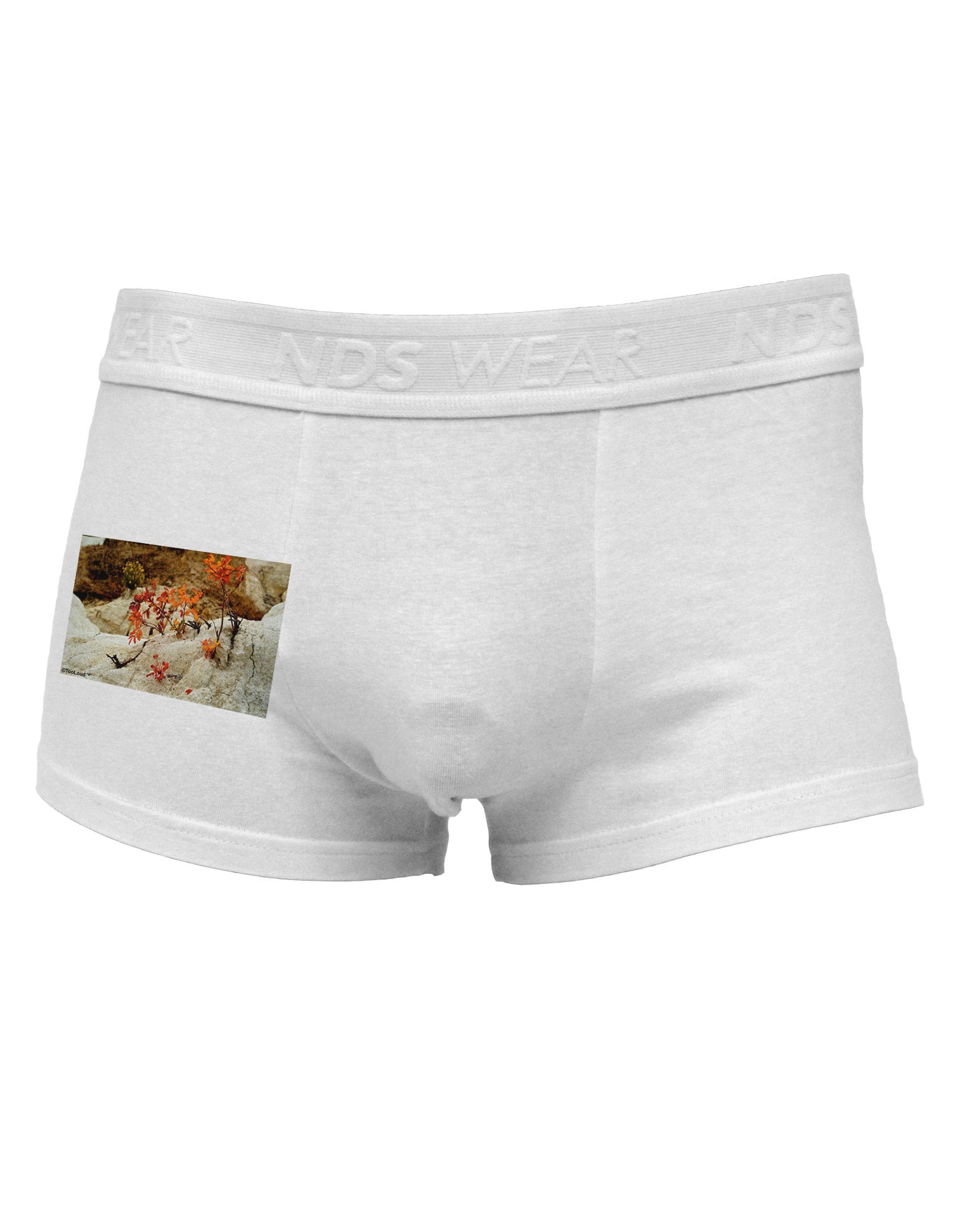 CO Painted Mines Side Printed Mens Trunk Underwear-Mens Trunk Underwear-NDS Wear-White-Small-Davson Sales