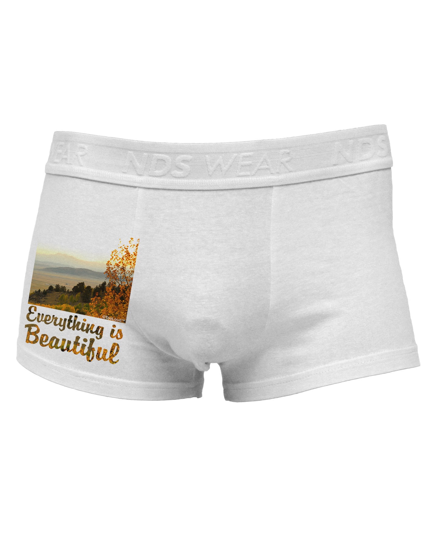 Everything is Beautiful - Sunrise Side Printed Mens Trunk Underwear by NDS Wear-Mens Trunk Underwear-NDS Wear-White-Small-Davson Sales