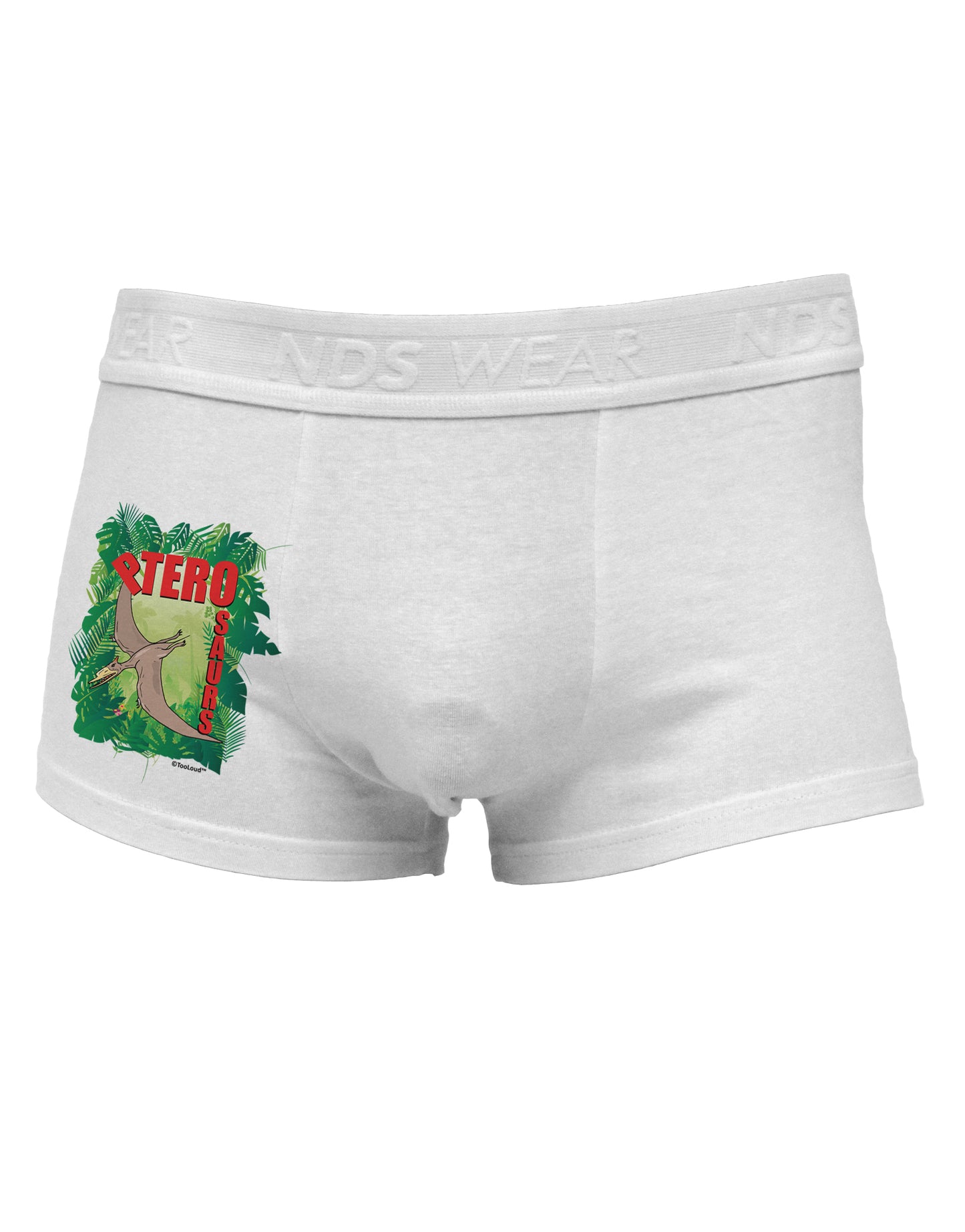 Pterosaurs - With Name Side Printed Mens Trunk Underwear by TooLoud-Mens Trunk Underwear-NDS Wear-White-Small-Davson Sales