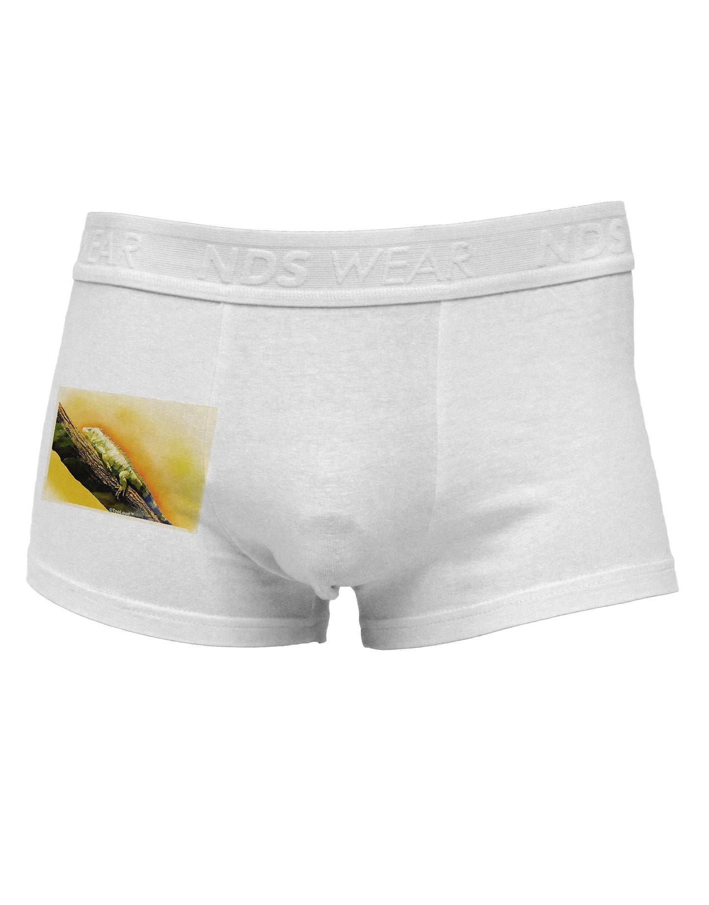 Iguana Watercolor Side Printed Mens Trunk Underwear-Mens Trunk Underwear-NDS Wear-White-Small-Davson Sales