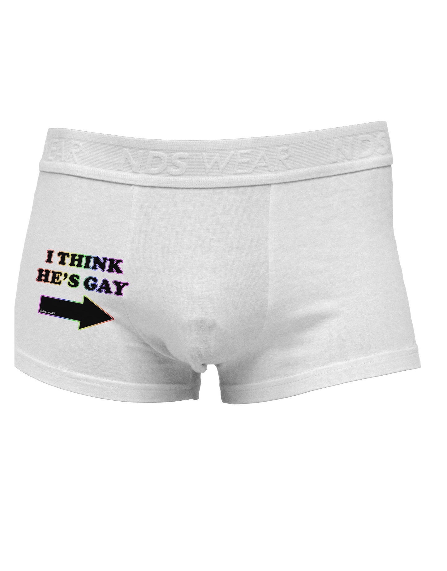 I Think He's Gay Right Side Printed Mens Trunk Underwear by TooLoud-Mens Trunk Underwear-NDS Wear-White-Small-Davson Sales