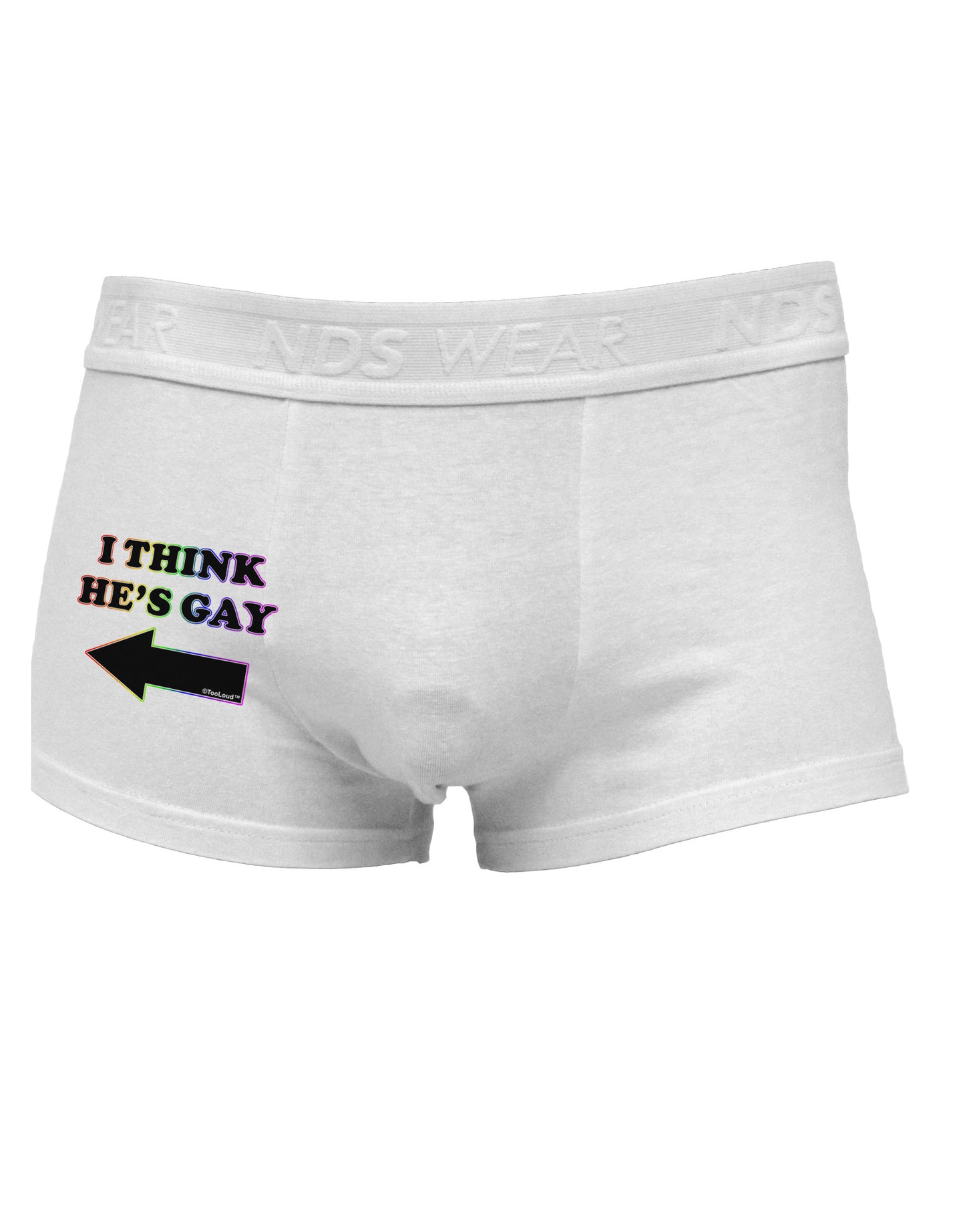 I Think He's Gay Left Side Printed Mens Trunk Underwear by TooLoud-Mens Trunk Underwear-NDS Wear-White-Small-Davson Sales
