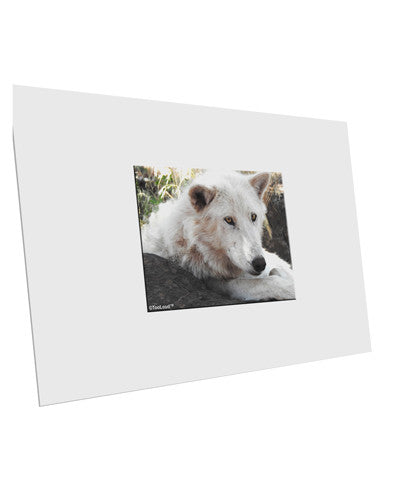 Laying White Wolf 10 Pack of 6x4" Postcards-Postcards-TooLoud-White-Davson Sales