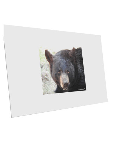 Staring Black Bear 10 Pack of 6x4" Postcards-Postcards-TooLoud-White-Davson Sales