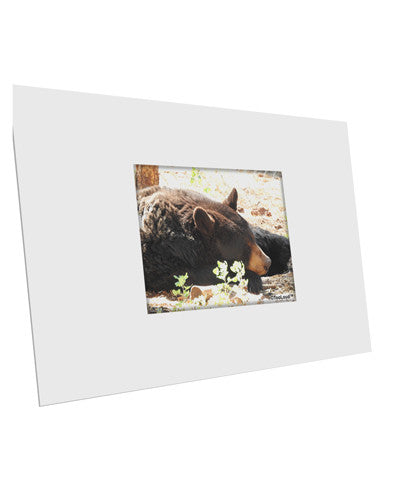 Laying Black Bear 10 Pack of 6x4" Postcards-Postcards-TooLoud-White-Davson Sales