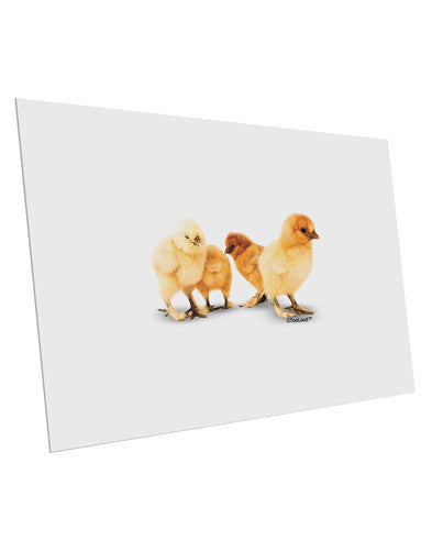 Cute Chicks 10 Pack of 6x4" Postcards-Postcards-TooLoud-White-Davson Sales