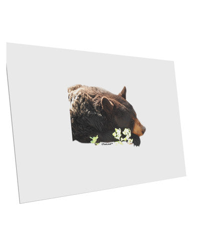 Laying Black Bear Cutout 10 Pack of 6x4" Postcards-Postcards-TooLoud-White-Davson Sales