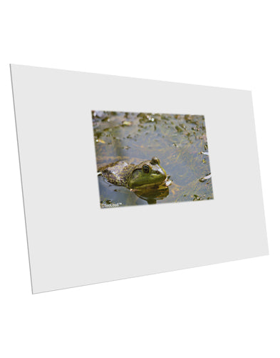 Bullfrog In Water 10 Pack of 6x4" Postcards by TooLoud-Postcards-TooLoud-White-Davson Sales