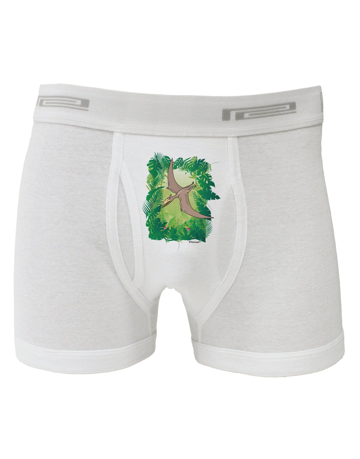 Pterosaurs - Without Name Boxer Briefs by TooLoud-Boxer Briefs-TooLoud-White-Small-Davson Sales