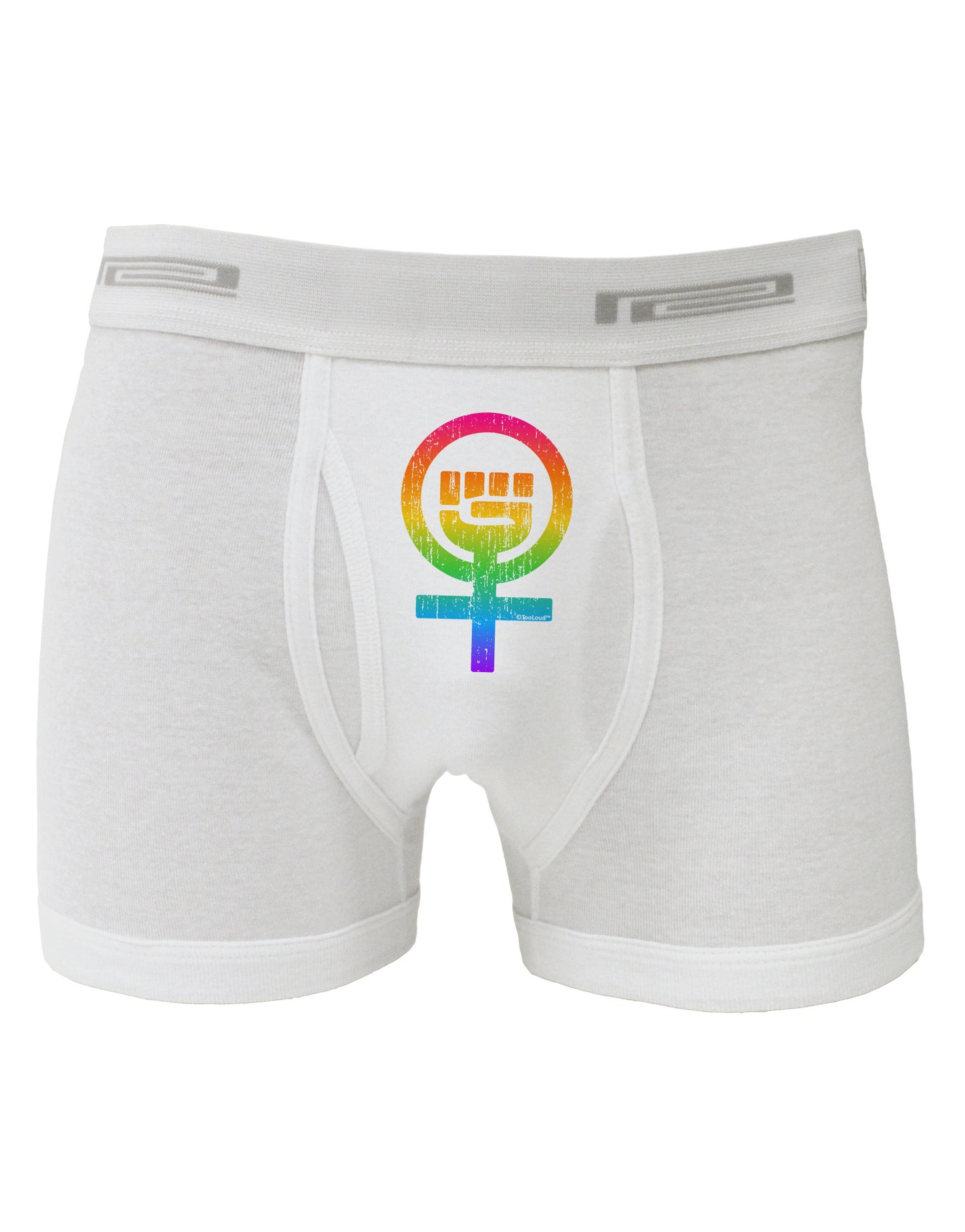 Rainbow Distressed Feminism Symbol Boxer Briefs-Boxer Briefs-TooLoud-White-Small-Davson Sales