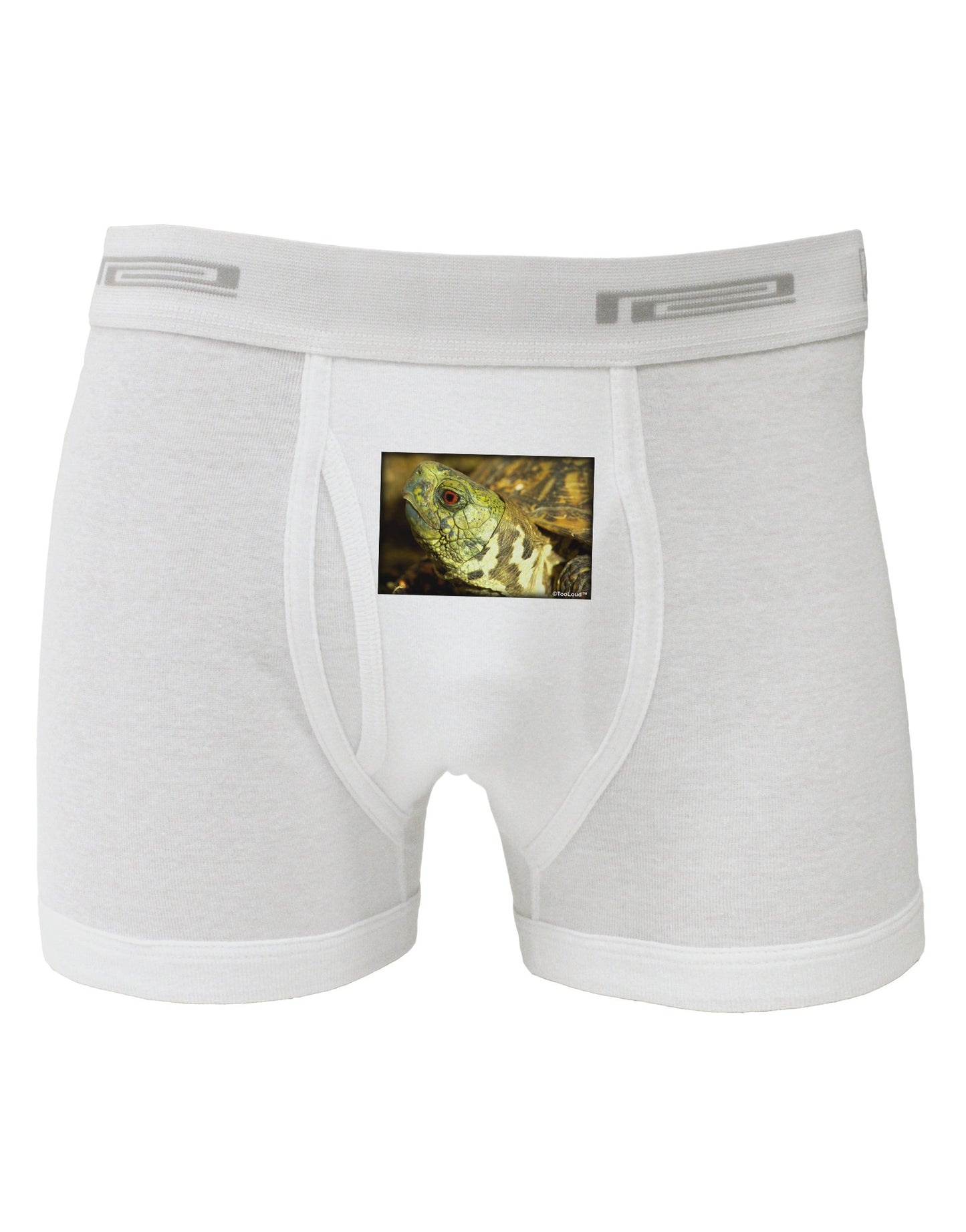 Menacing Turtle Boxer Briefs-Boxer Briefs-TooLoud-White-Small-Davson Sales