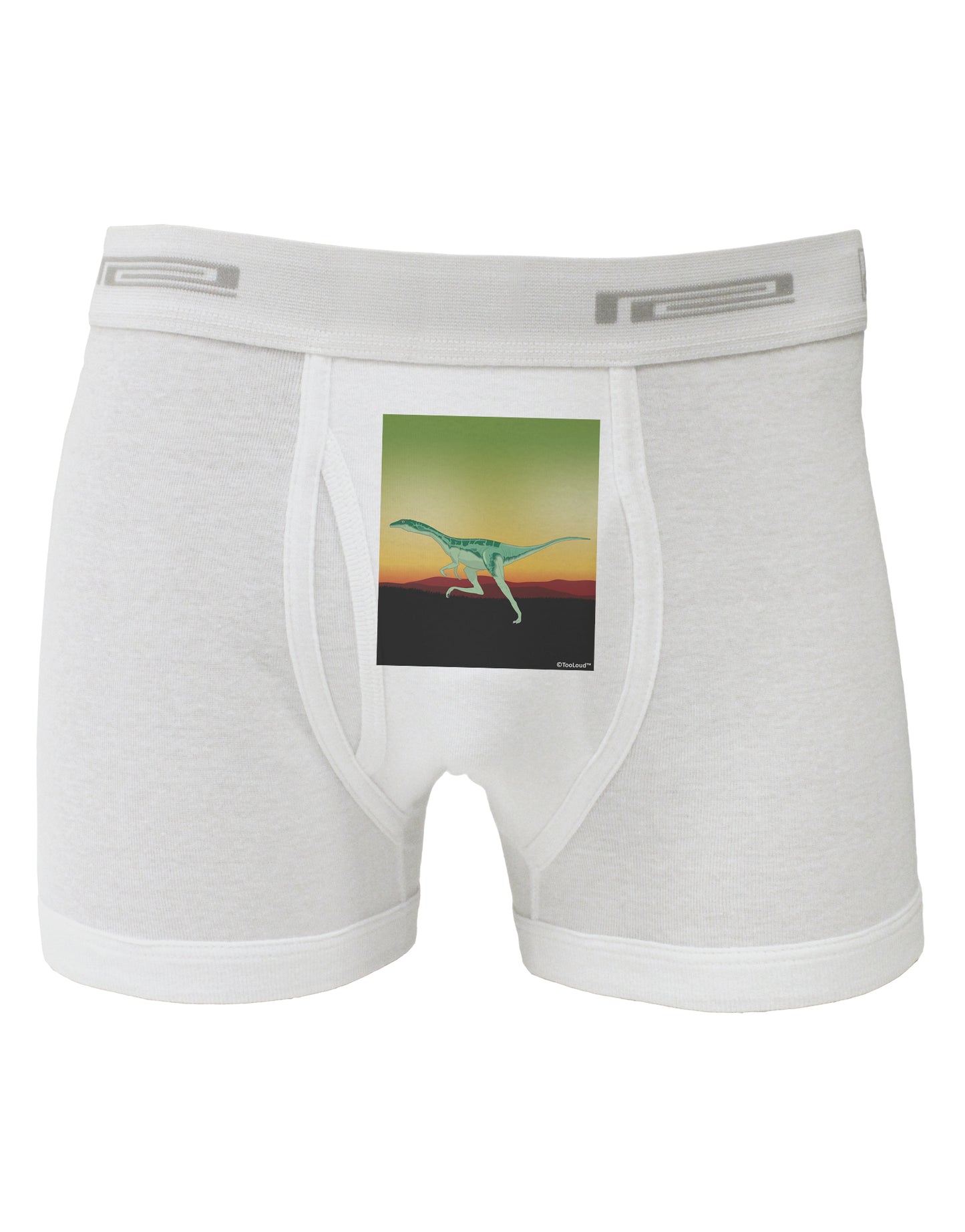 Ornithomimus Velox - Without Name Boxer Briefs by TooLoud-Boxer Briefs-TooLoud-White-Small-Davson Sales