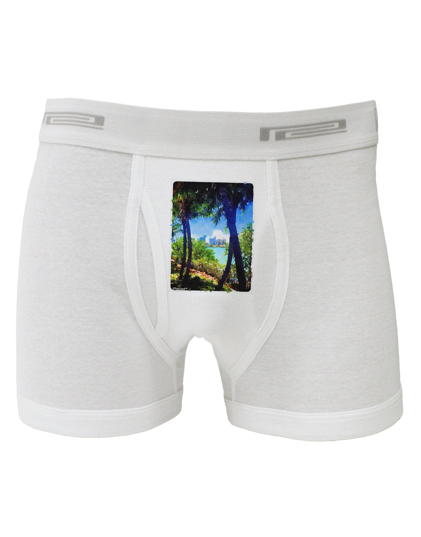 TooLoud Tropical Skyline Boxer Briefs-Boxer Briefs-TooLoud-White-Small-Davson Sales