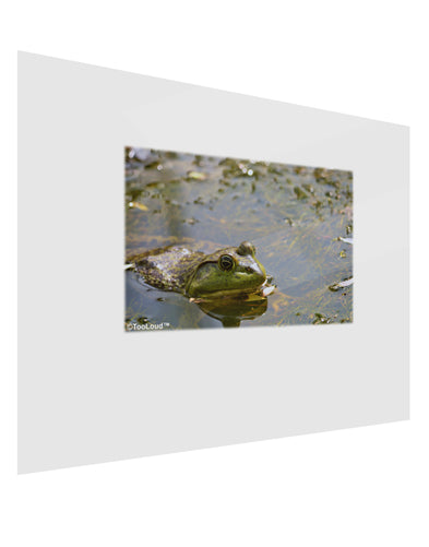 Bullfrog In Water Gloss Poster Print Landscape - Choose Size by TooLoud-Poster Print-TooLoud-17x11"-Davson Sales