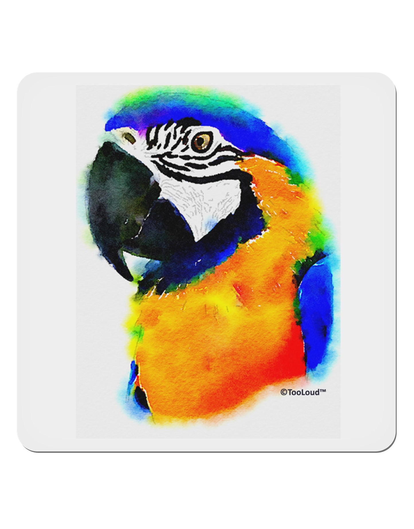 Brightly Colored Parrot Watercolor 4x4" Square Sticker 4 Pieces-Stickers-TooLoud-White-Davson Sales