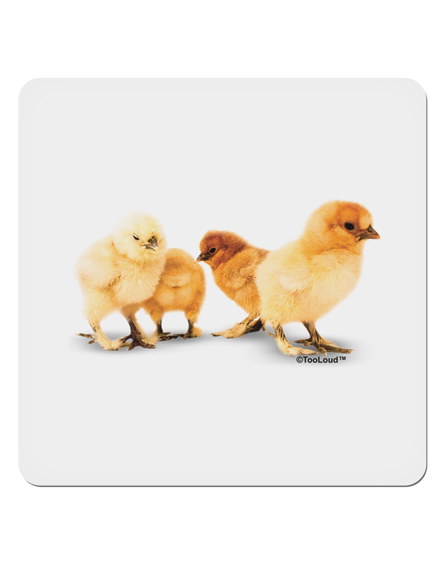 Cute Chicks 4x4" Square Sticker-Stickers-TooLoud-1-Davson Sales