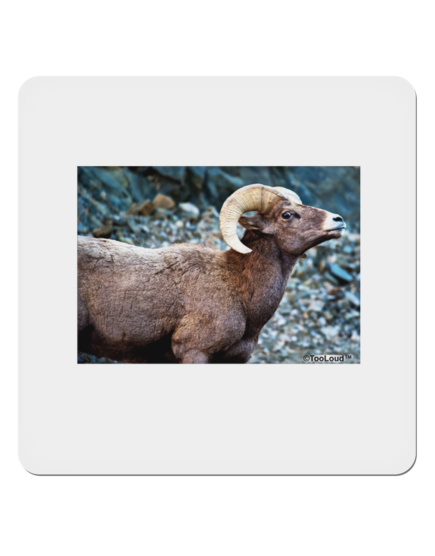 TooLoud Wide Eyed Big Horn 4x4" Square Sticker-Stickers-TooLoud-1-Davson Sales