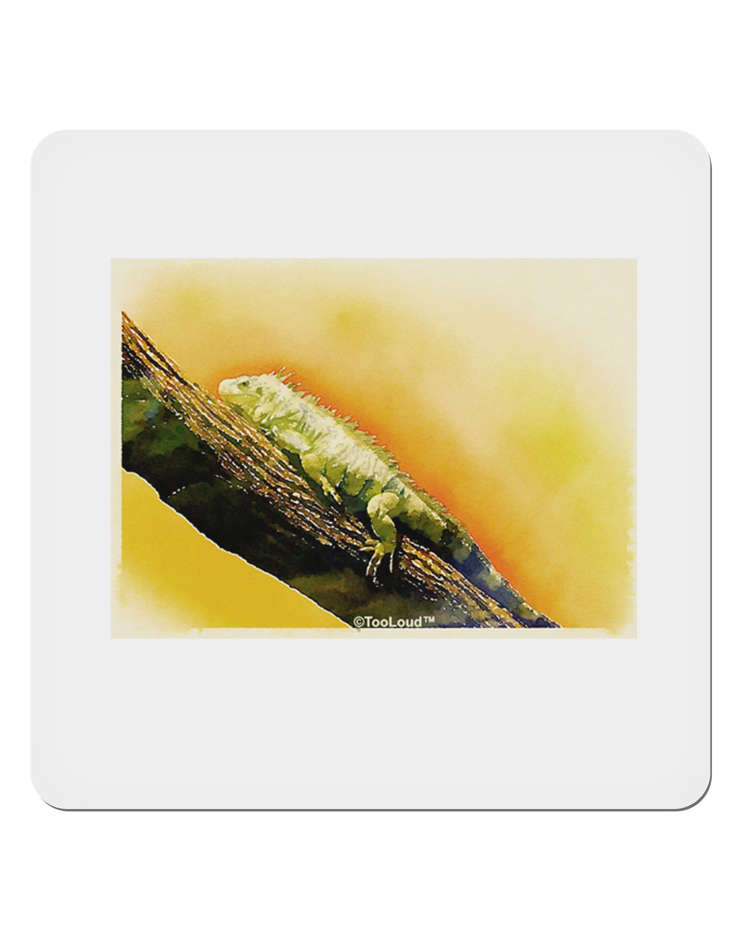Iguana Watercolor 4x4" Square Sticker 4 Pieces-Stickers-TooLoud-White-Davson Sales