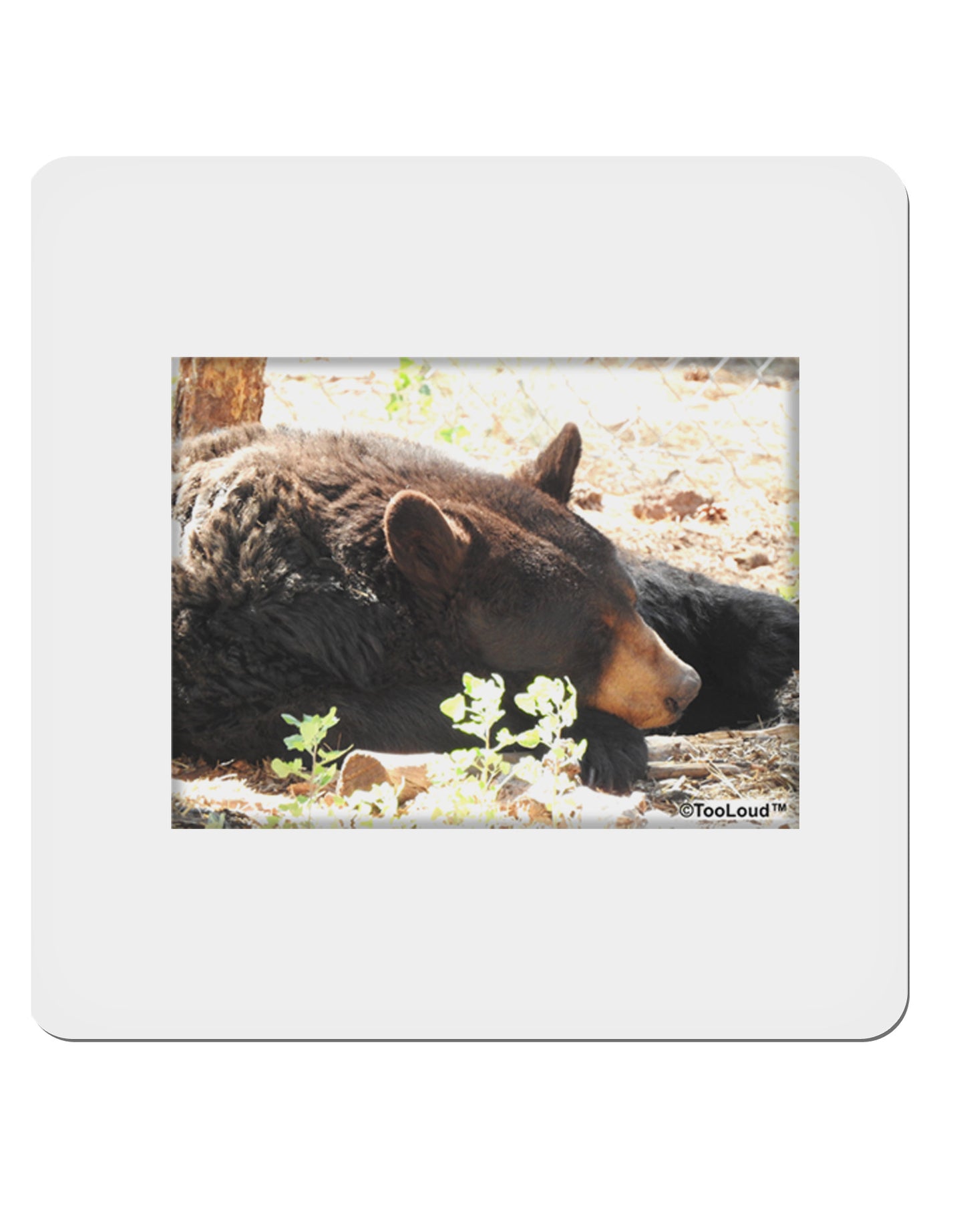 Laying Black Bear 4x4" Square Sticker-Stickers-TooLoud-1-Davson Sales