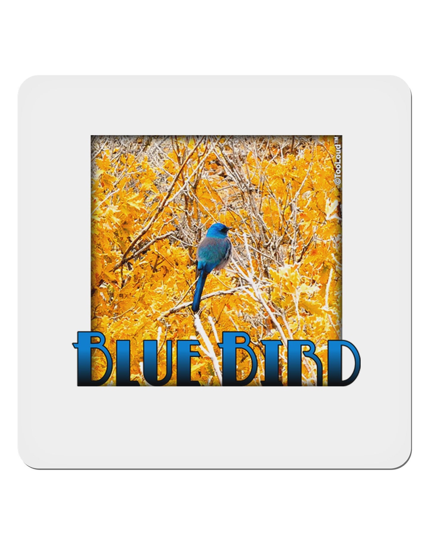 Blue Bird In Yellow Text 4x4" Square Sticker-Stickers-TooLoud-4-Davson Sales