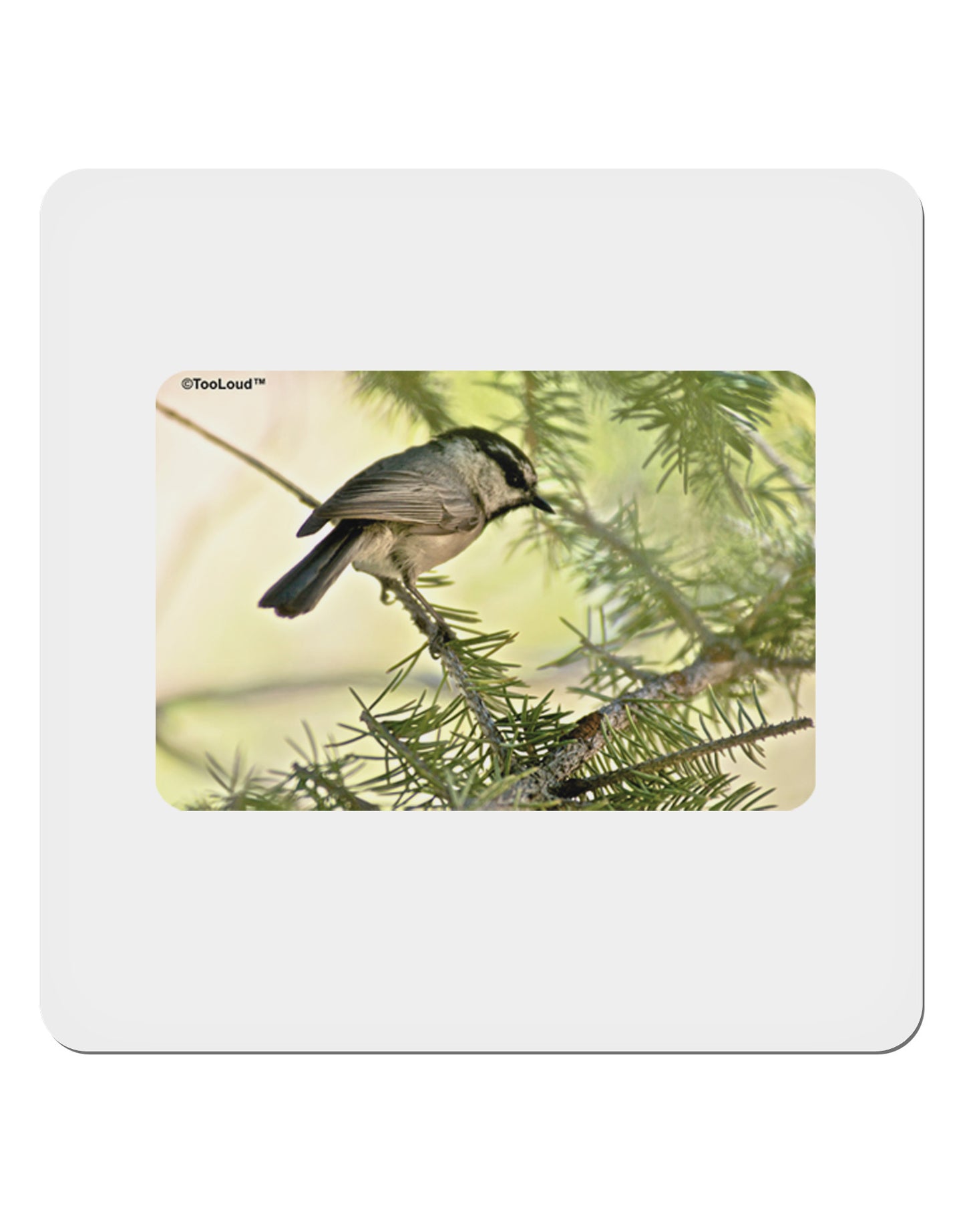 CO Chickadee 4x4" Square Sticker-Stickers-TooLoud-1-Davson Sales
