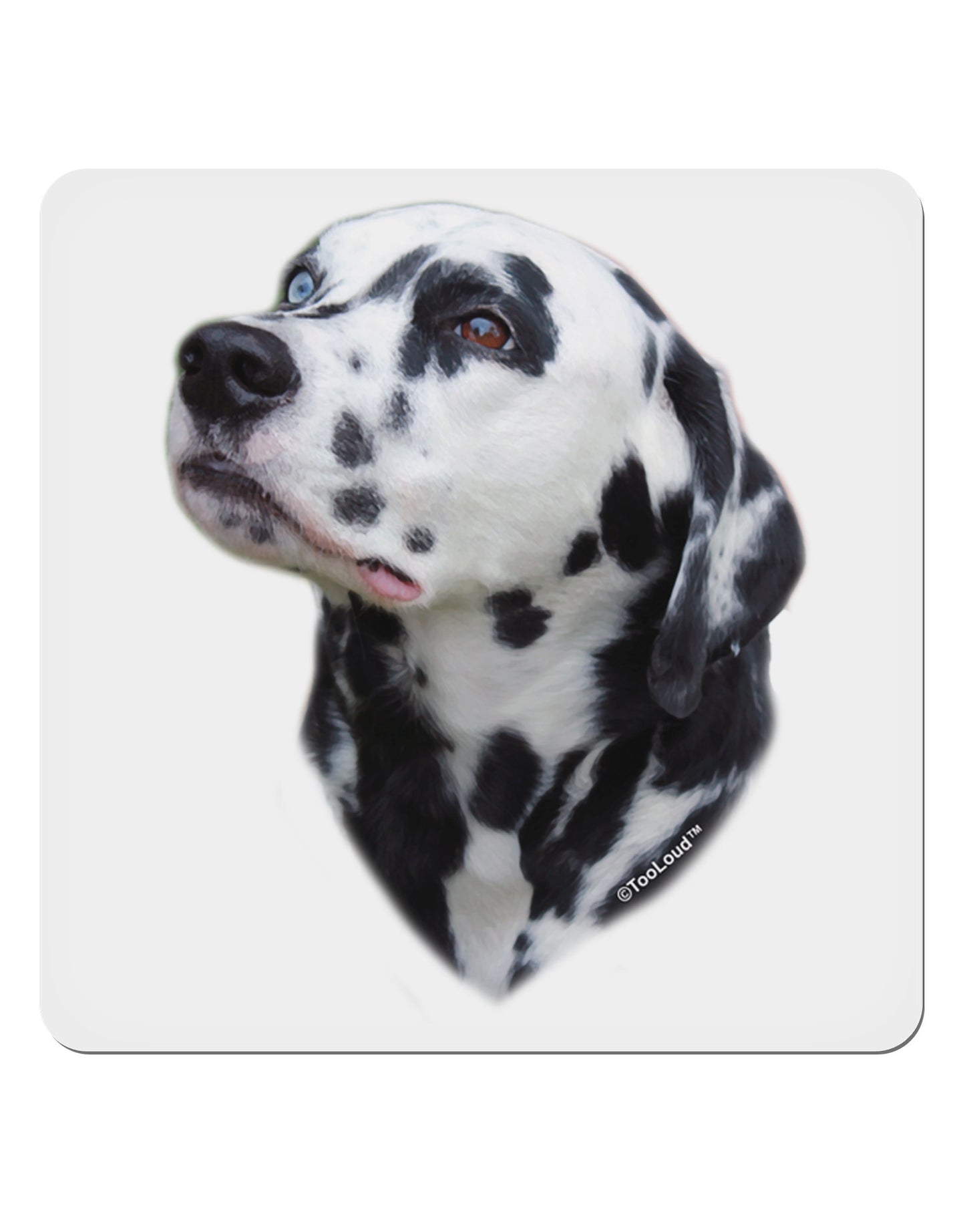 Dalmatian Portrait 4x4" Square Sticker 4 Pieces-Stickers-TooLoud-White-Davson Sales