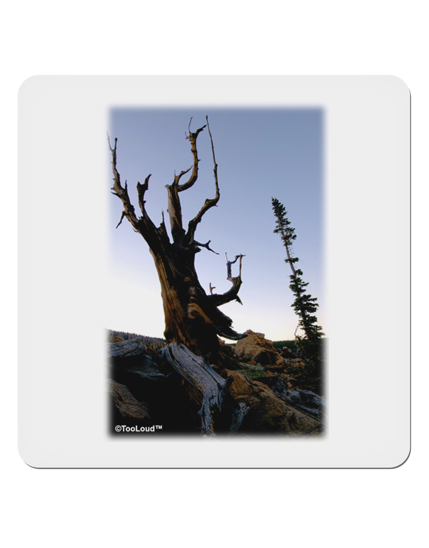 Colorado Mountain Scenery 4x4" Square Sticker-Stickers-TooLoud-1-Davson Sales