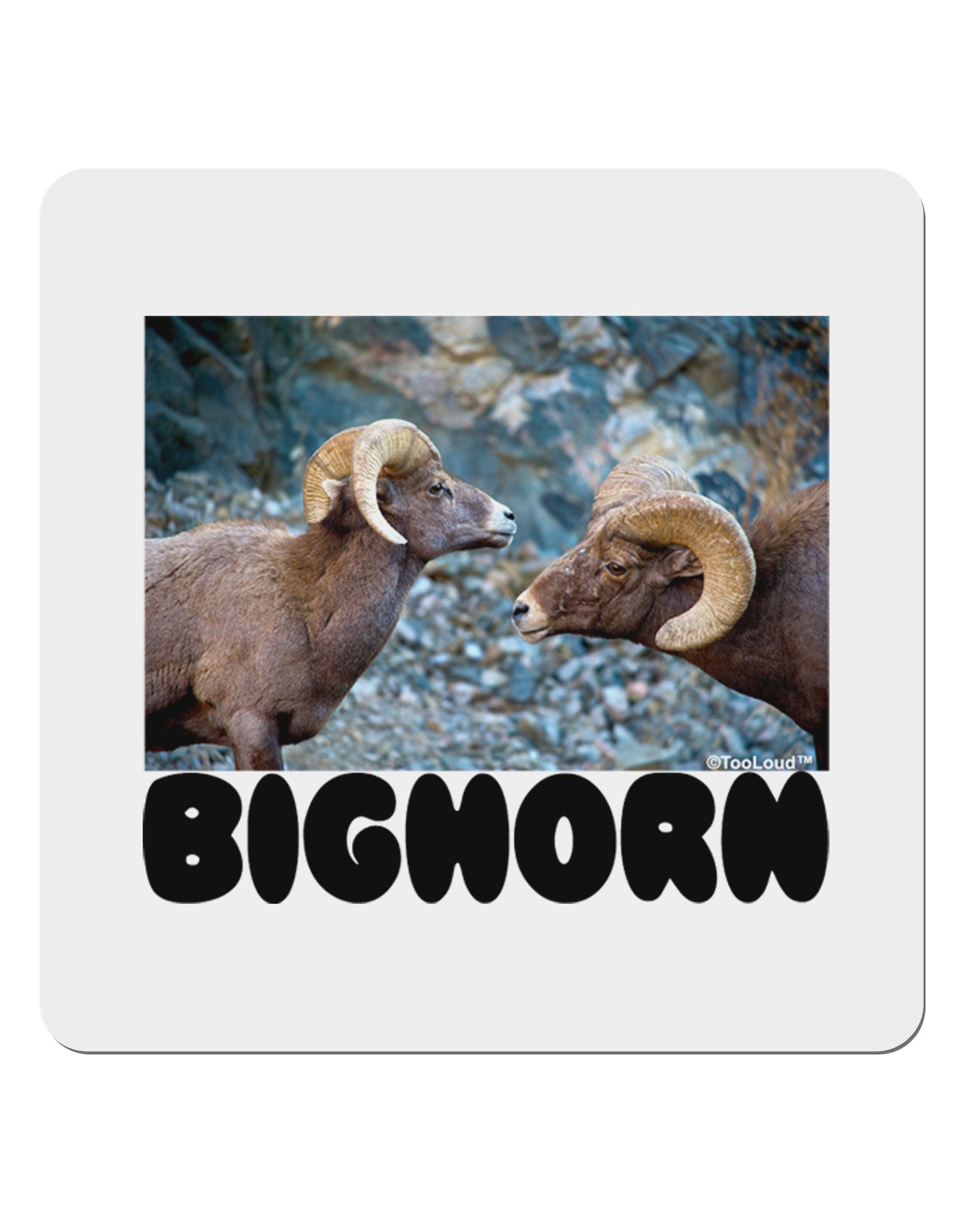 Two Bighorn Rams Text 4x4" Square Sticker-Stickers-TooLoud-1 Piece-Davson Sales