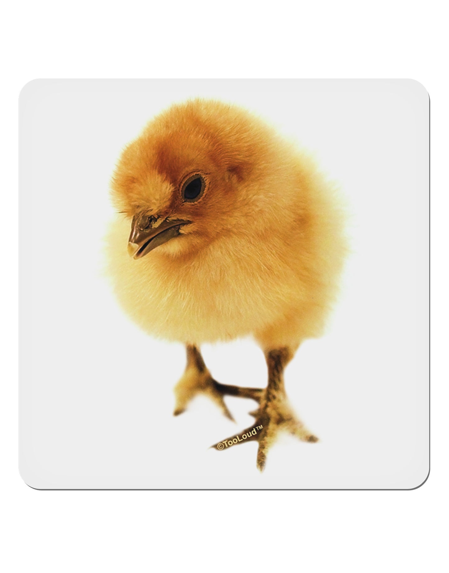 Fluffy Chick 4x4" Square Sticker-Stickers-TooLoud-1-Davson Sales